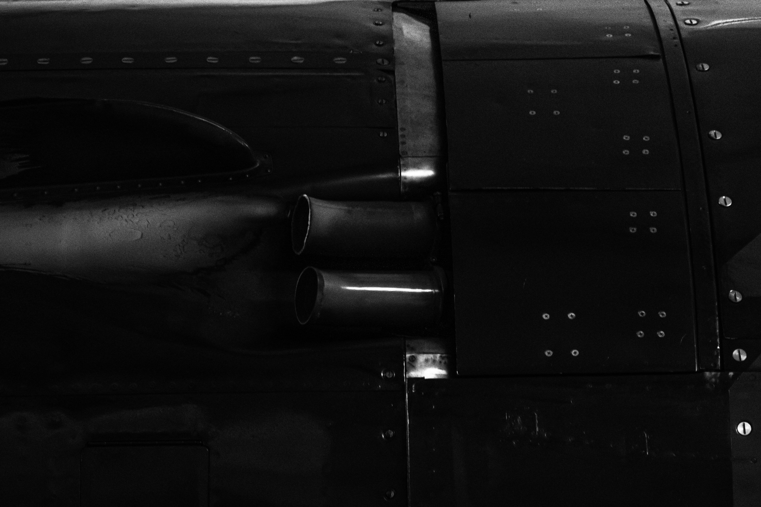 3C3A4401.jpg