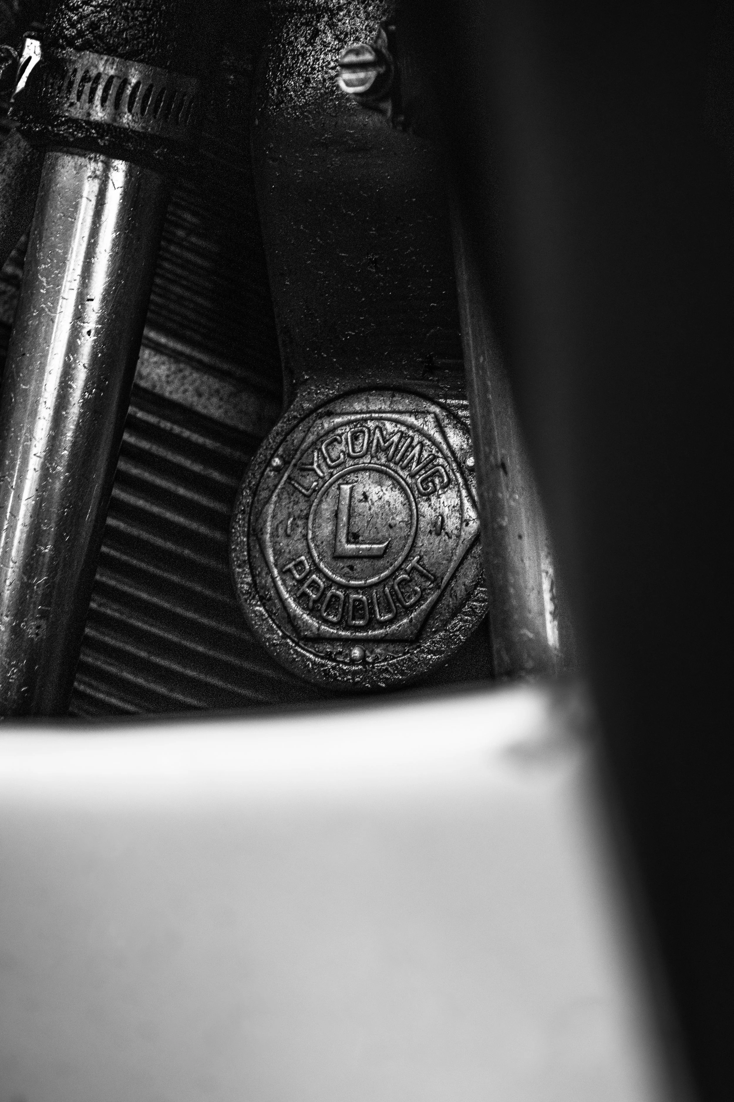 3C3A4349.jpg
