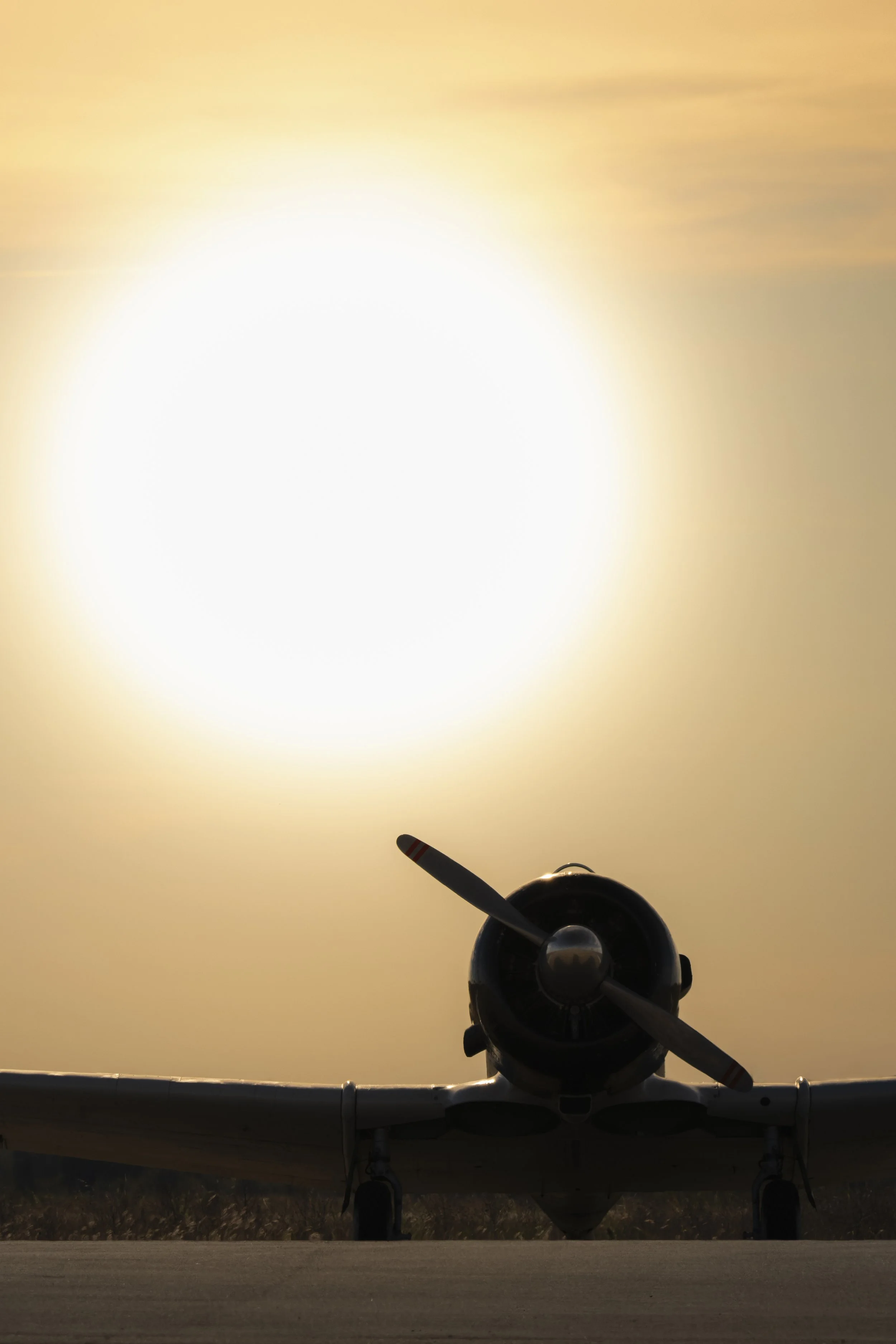 3C3A8300.jpg