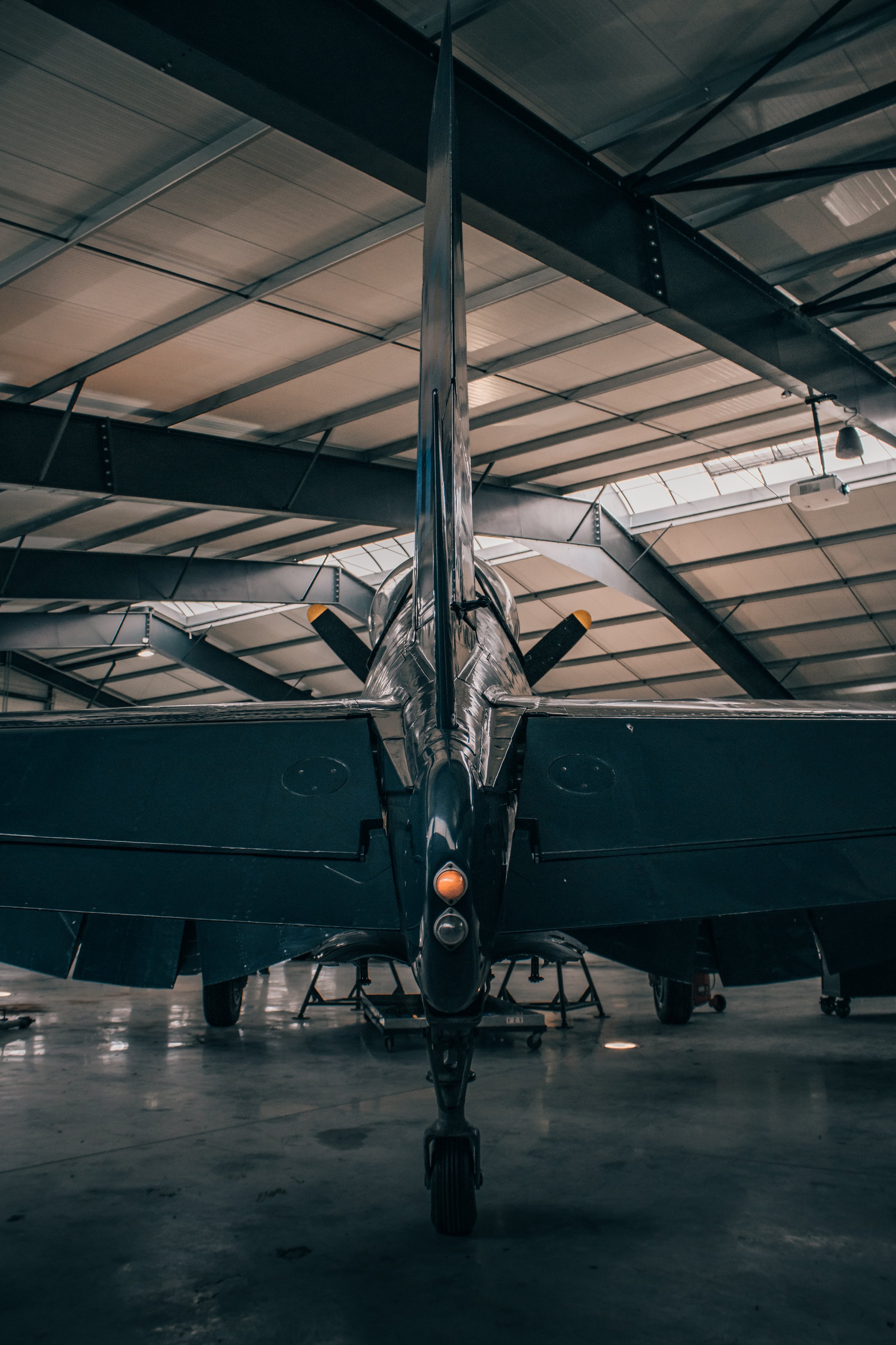 3C3A4410.jpg