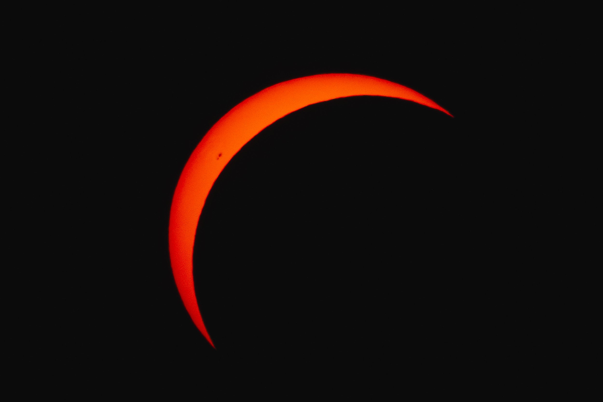 3C3A4872.jpg