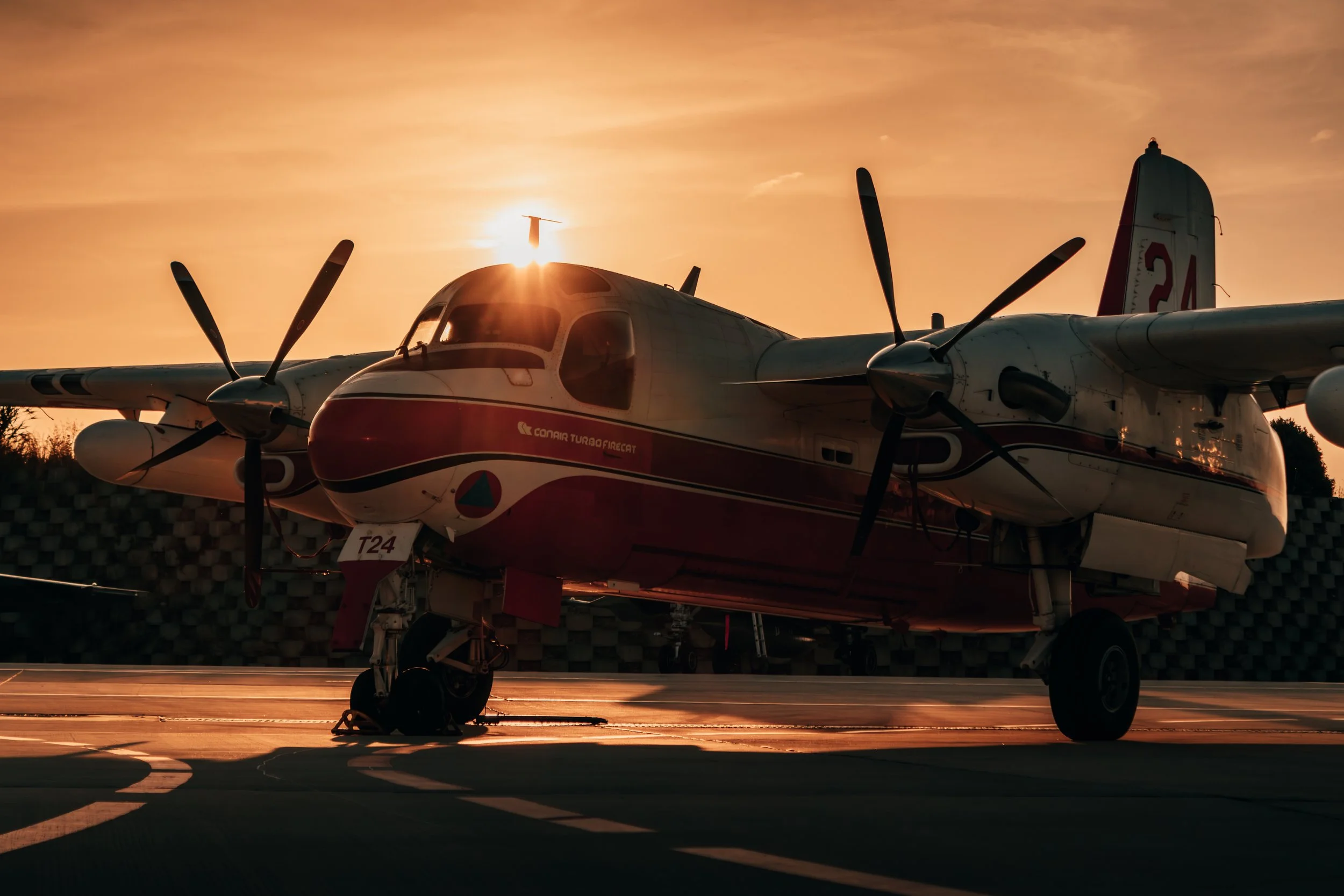 01062025-3C3A4493-Avec accentuation-Bruit.jpg