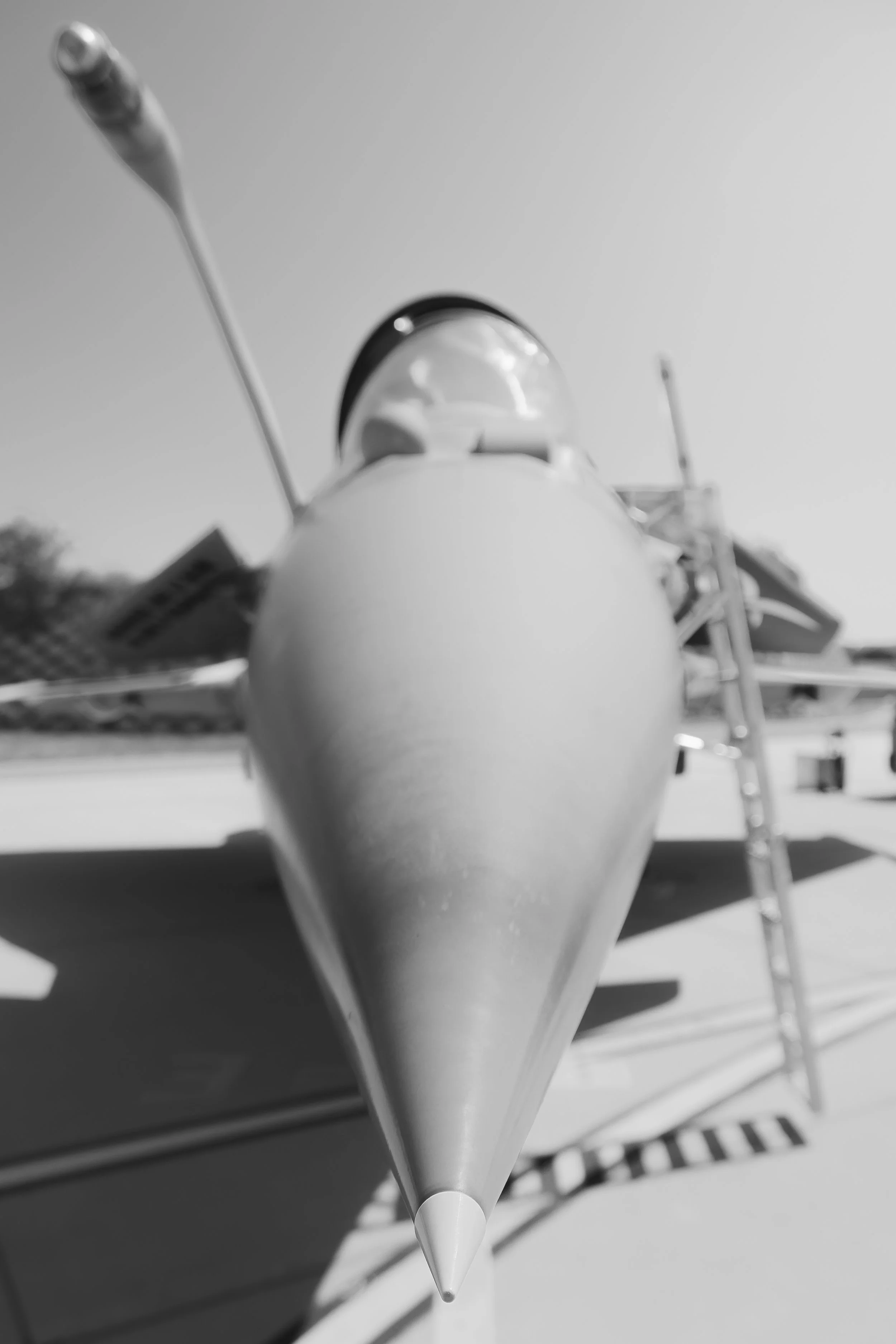 3C3A6512.jpg