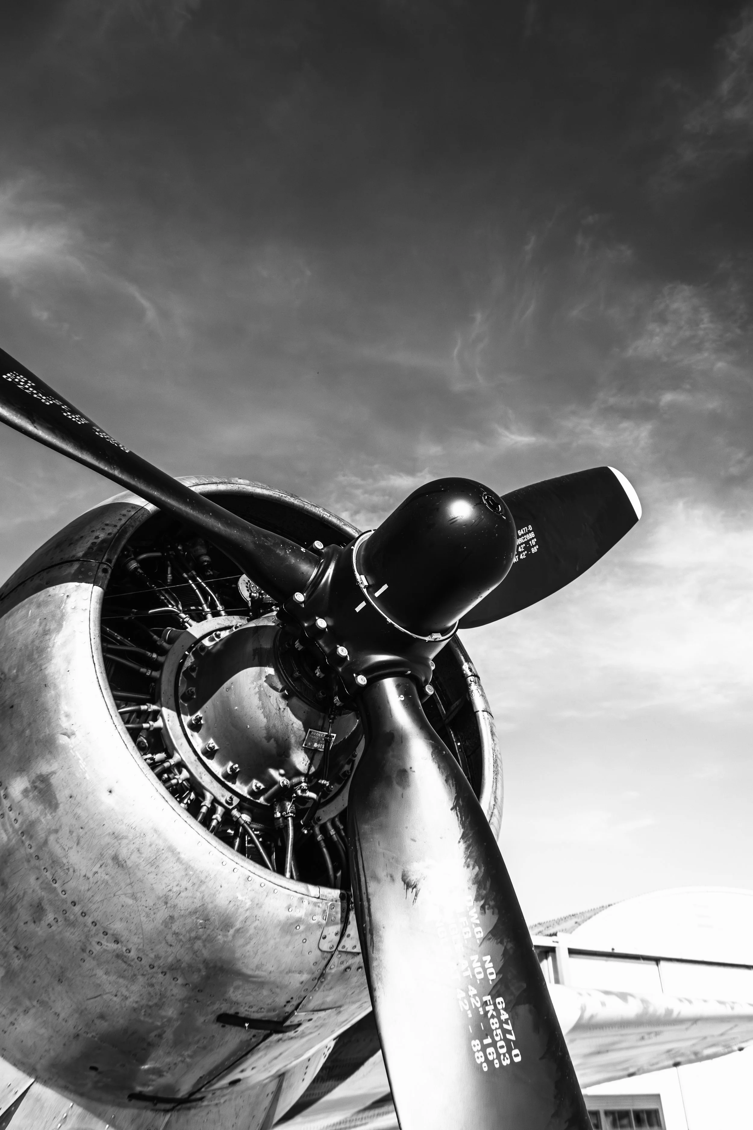 01062025-3C3A4687-Avec accentuation-Bruit.jpg
