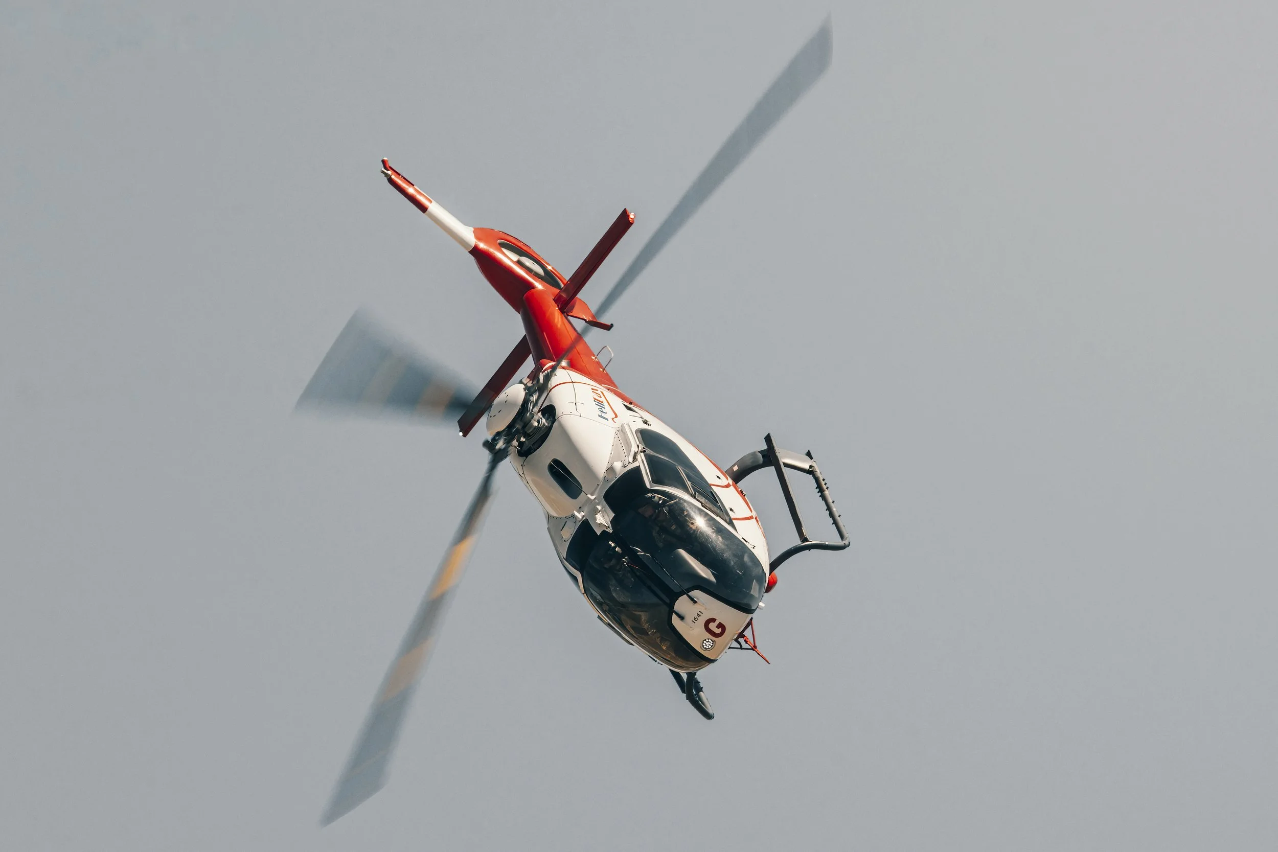 3C3A6193-Modifier.jpg