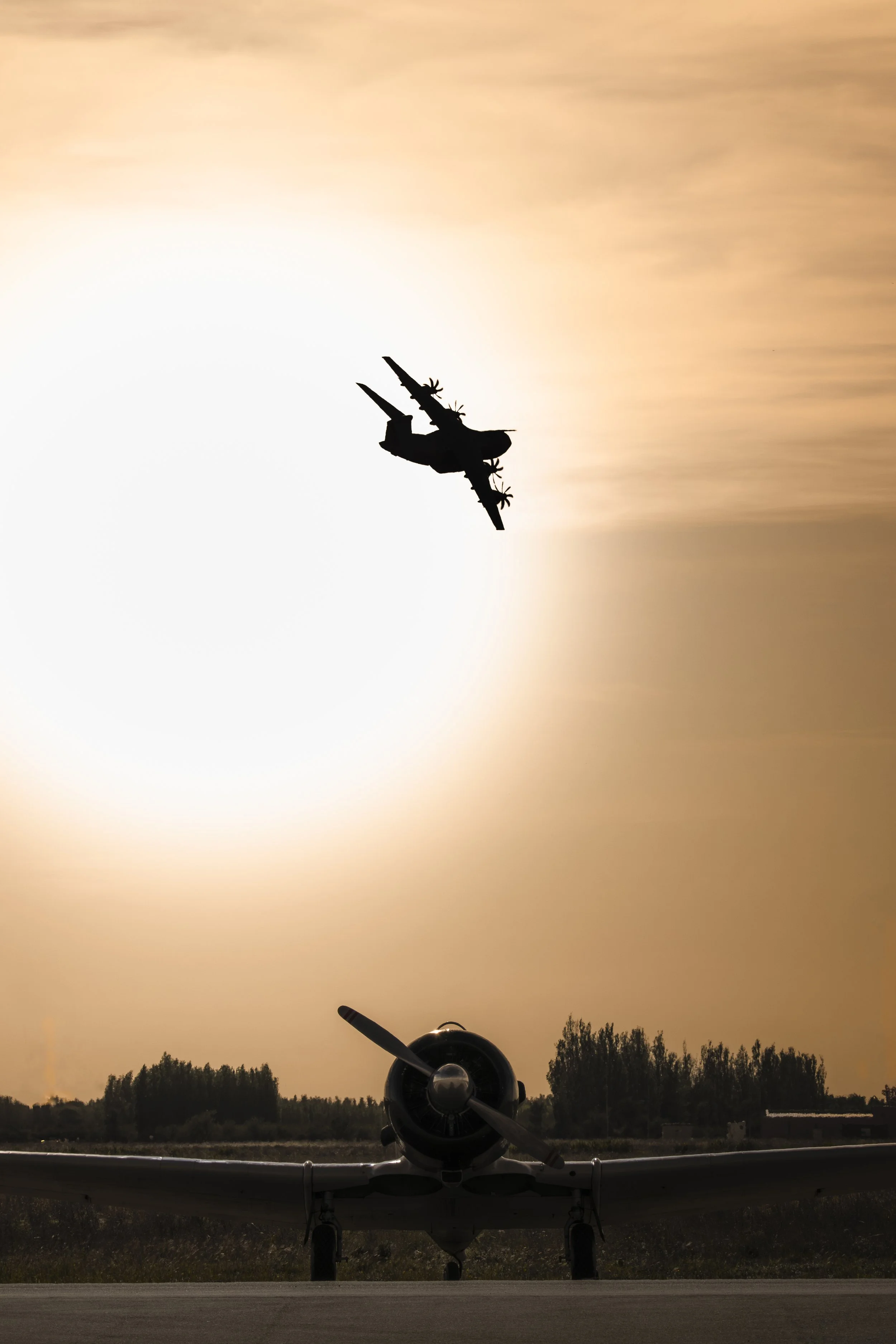 3C3A8409-Avec accentuation-Bruit.jpg
