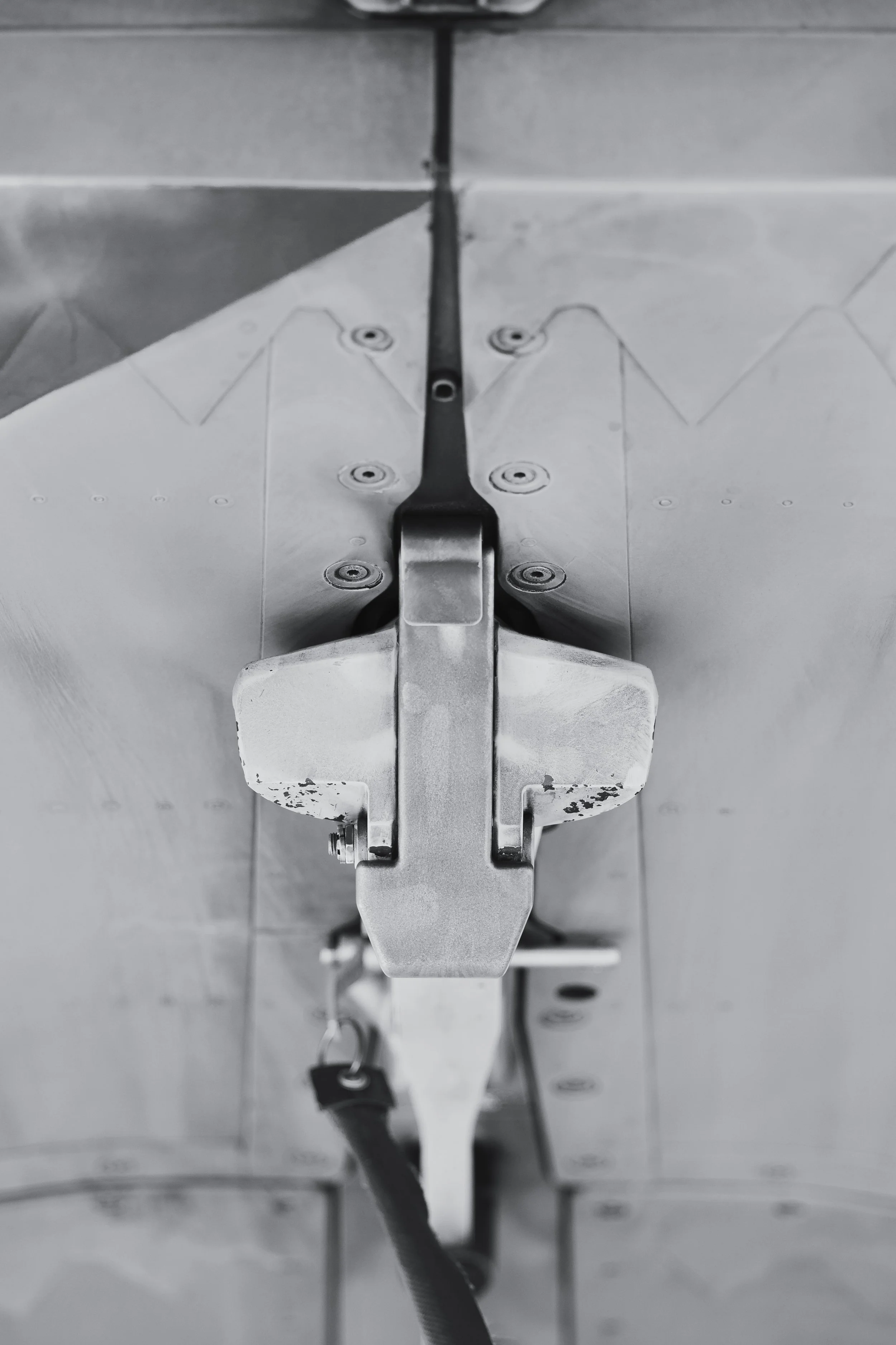 3C3A6577.jpg