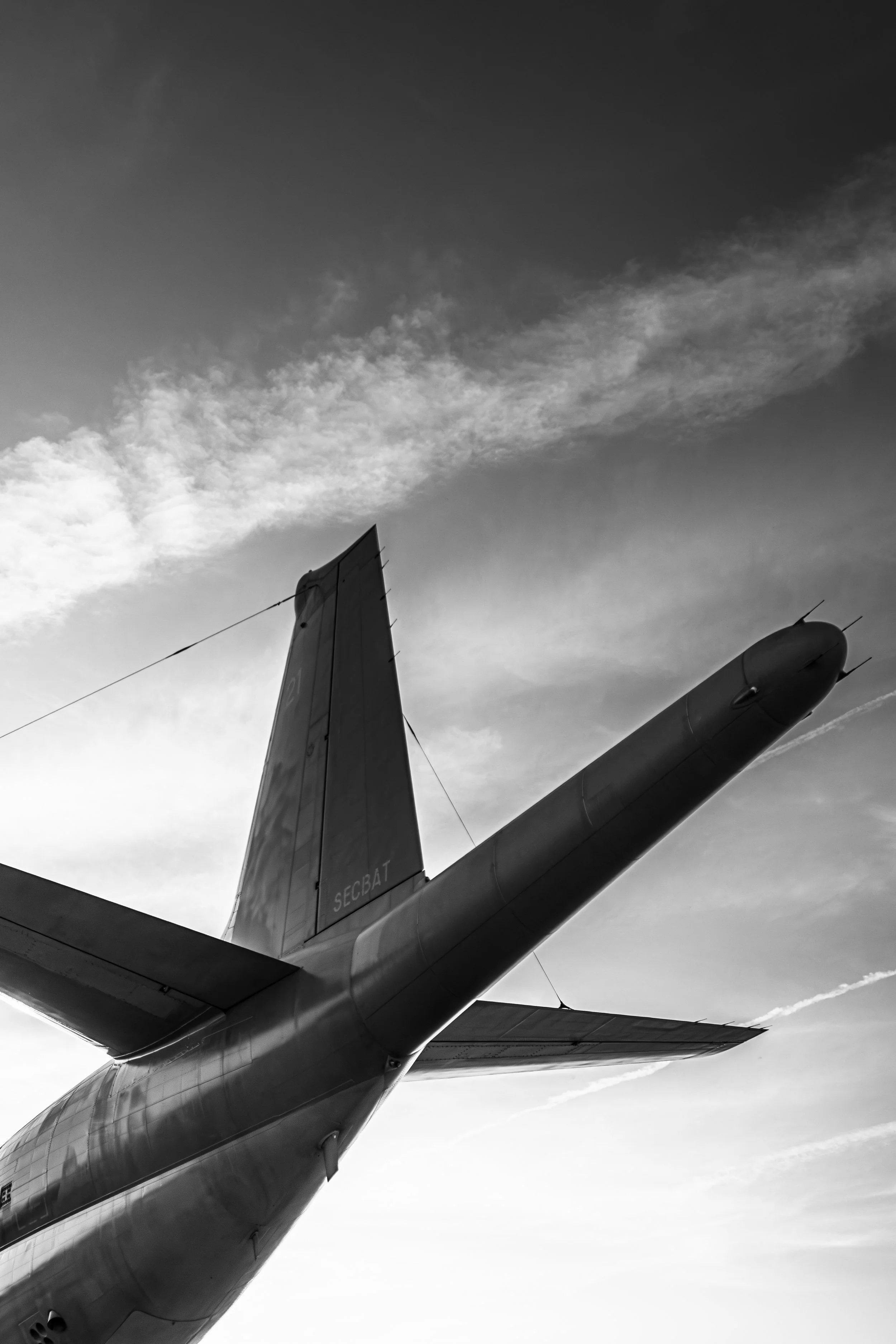 01062025-3C3A4563-Avec accentuation-Bruit.jpg