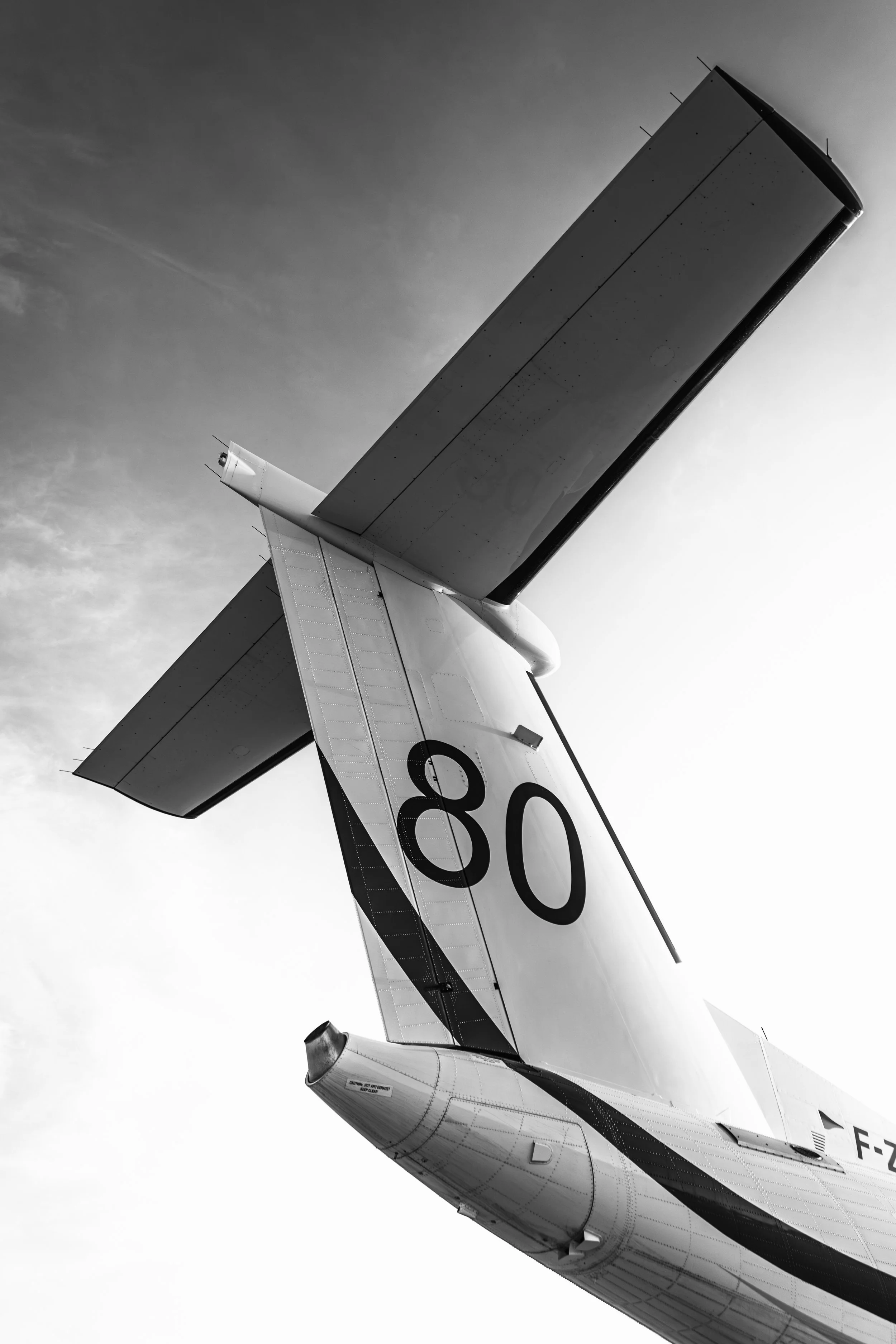 01062025-3C3A4623-Avec accentuation-Bruit.jpg