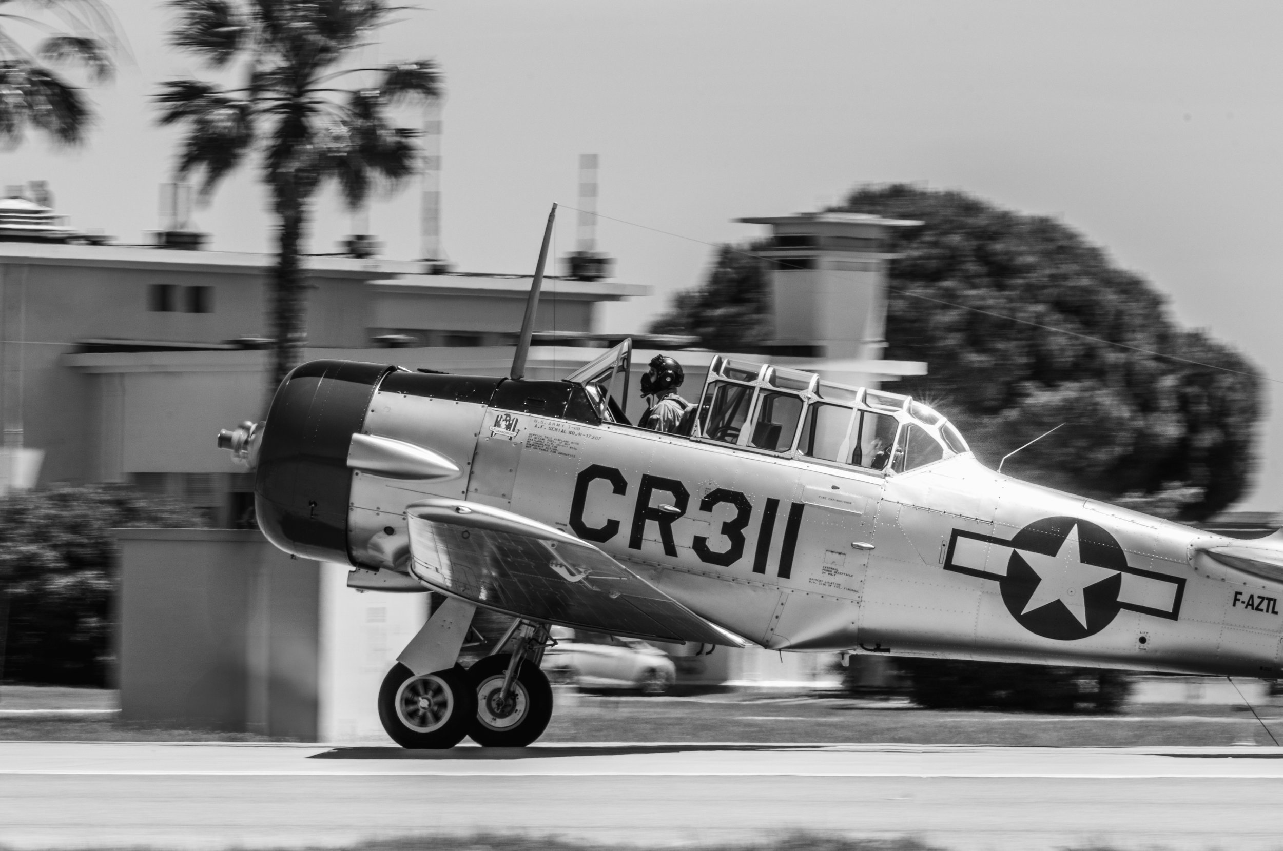 31052025-3C3A8860.jpg
