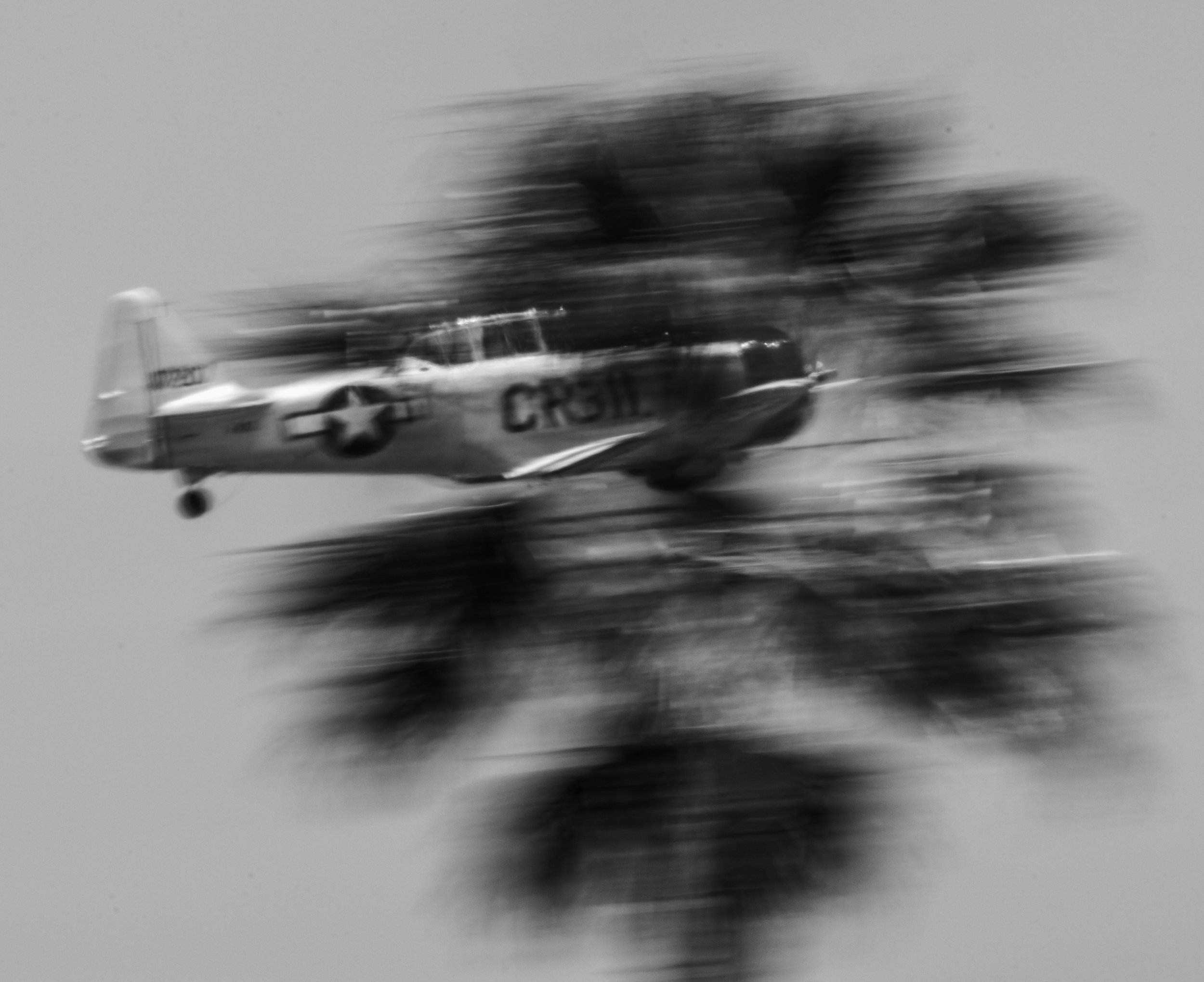 31052025-3C3A8971.jpg