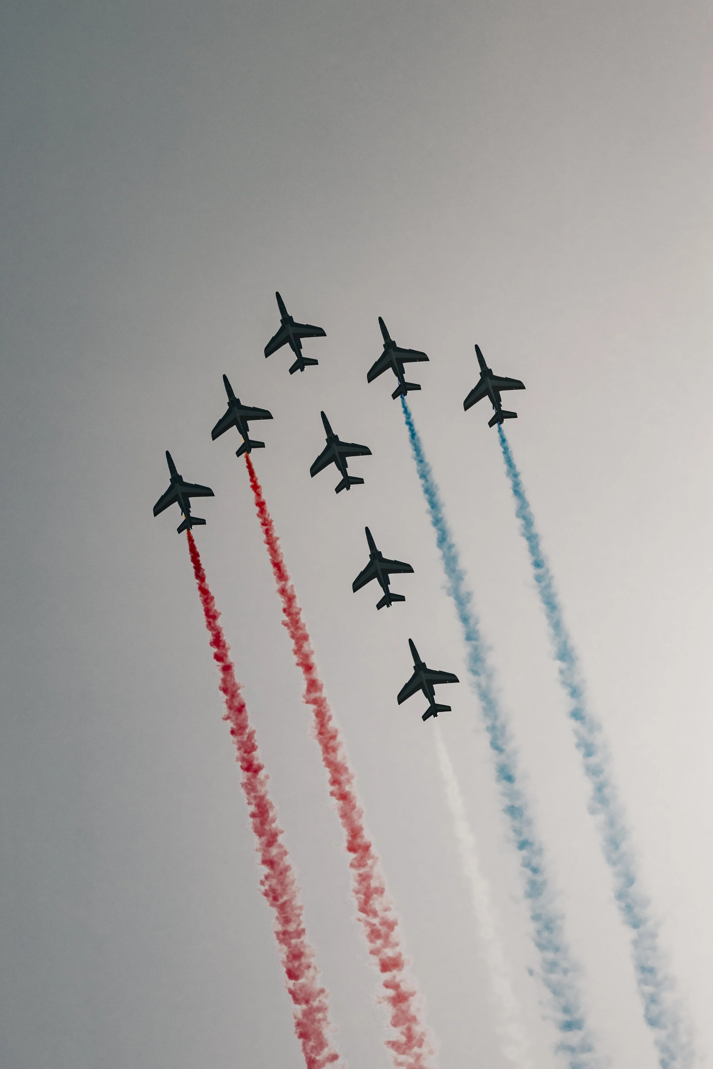 3C3A9504.jpg
