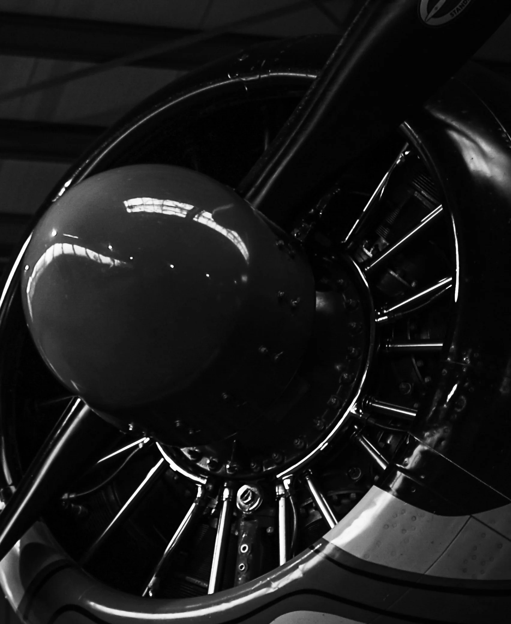3C3A4515.jpg
