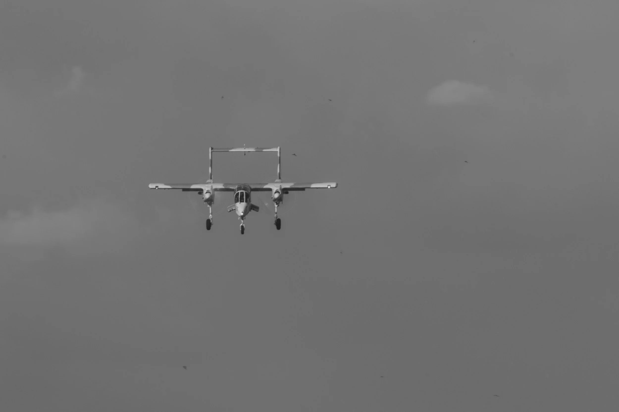 3C3A2299.jpg