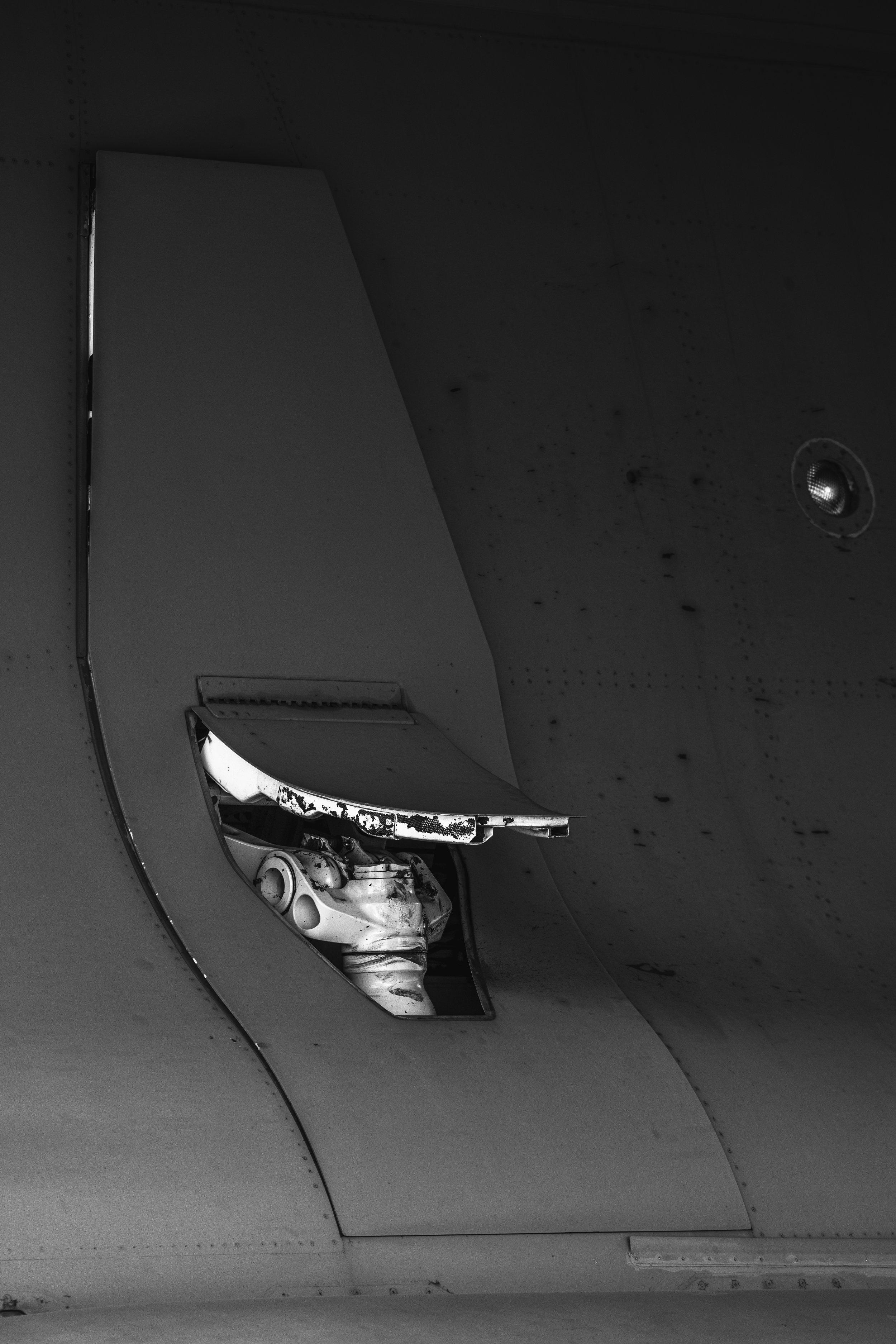 3C3A4978.jpg