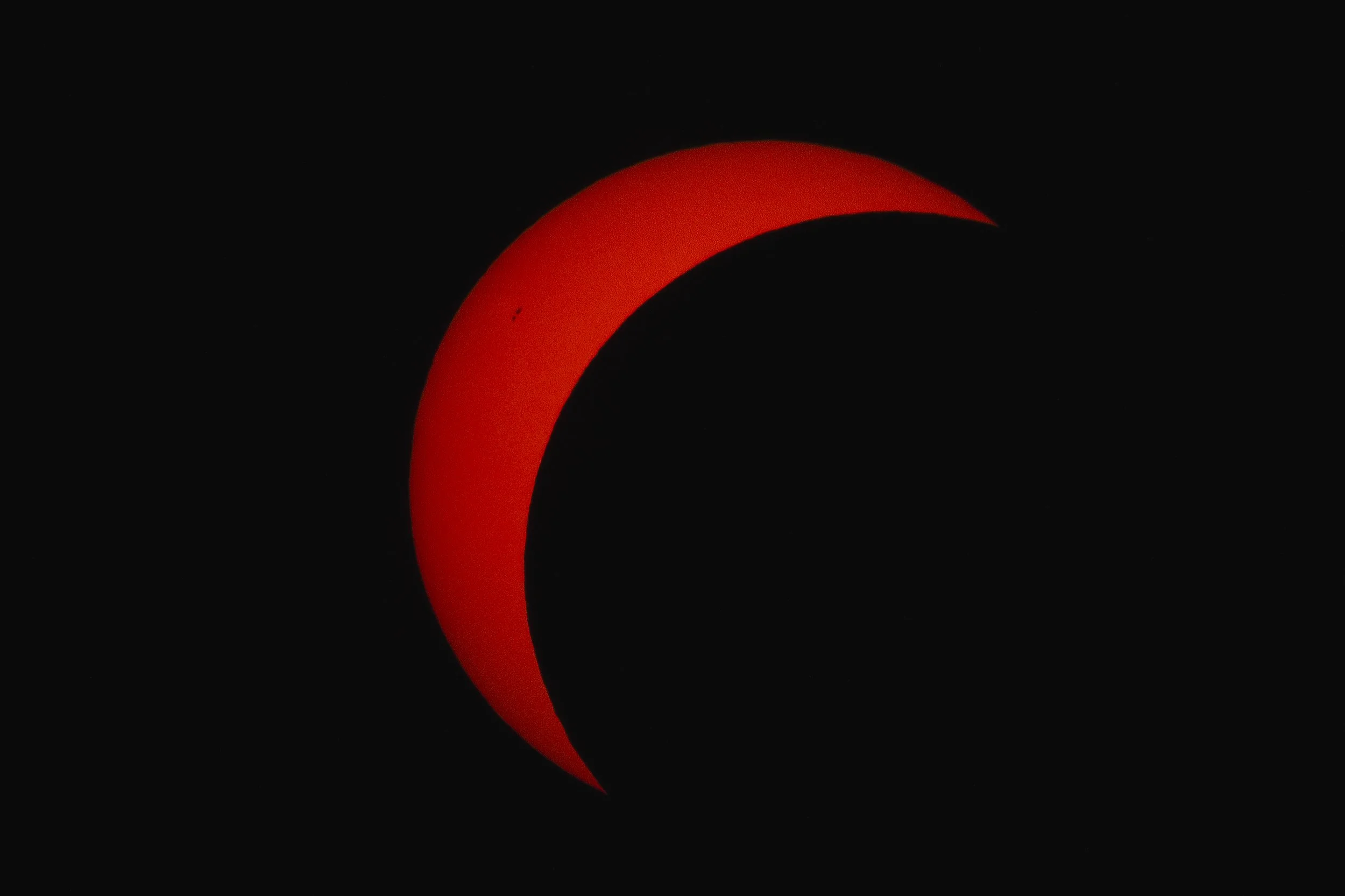 3C3A4676.jpg