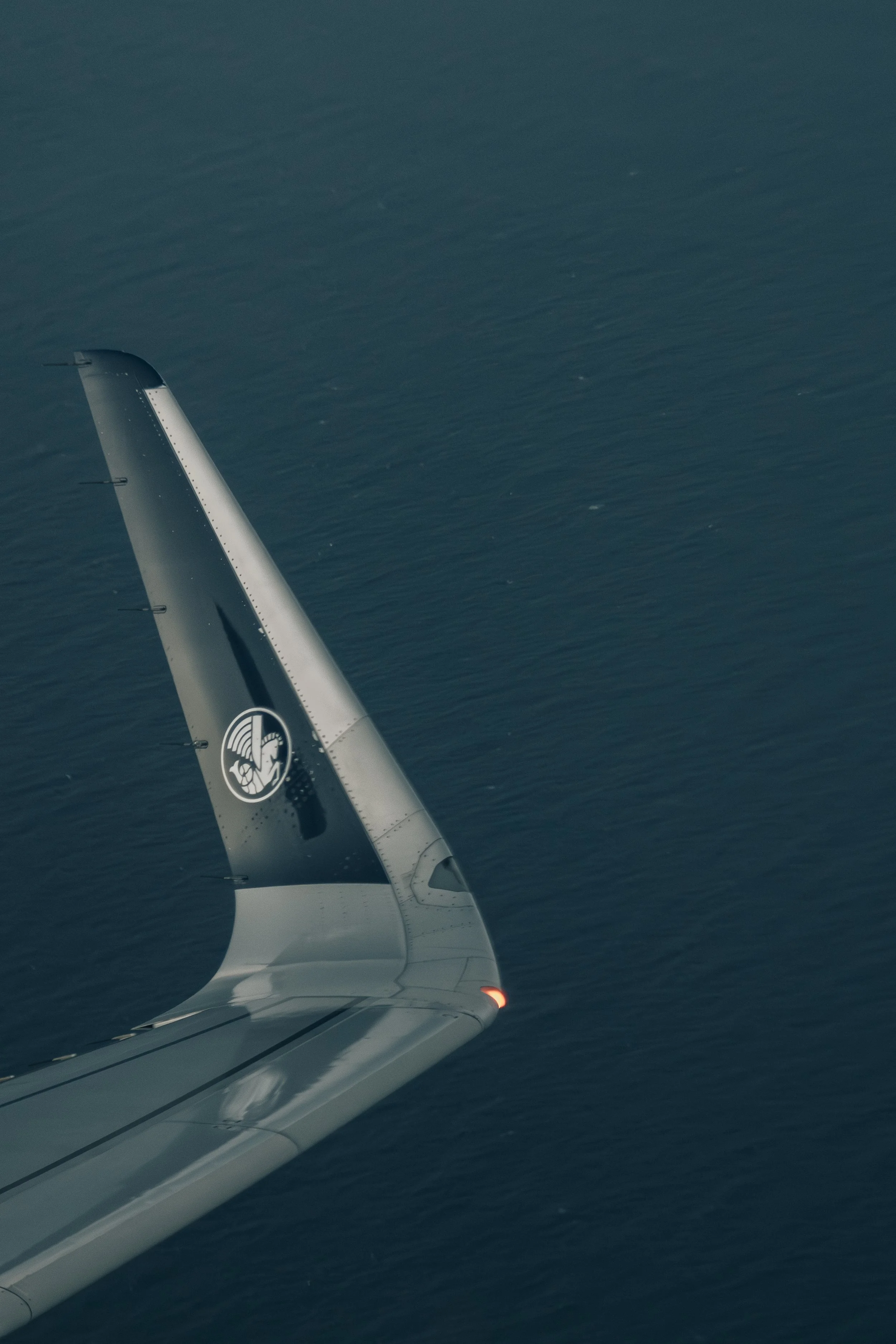 Hippocampe Volant.jpg
