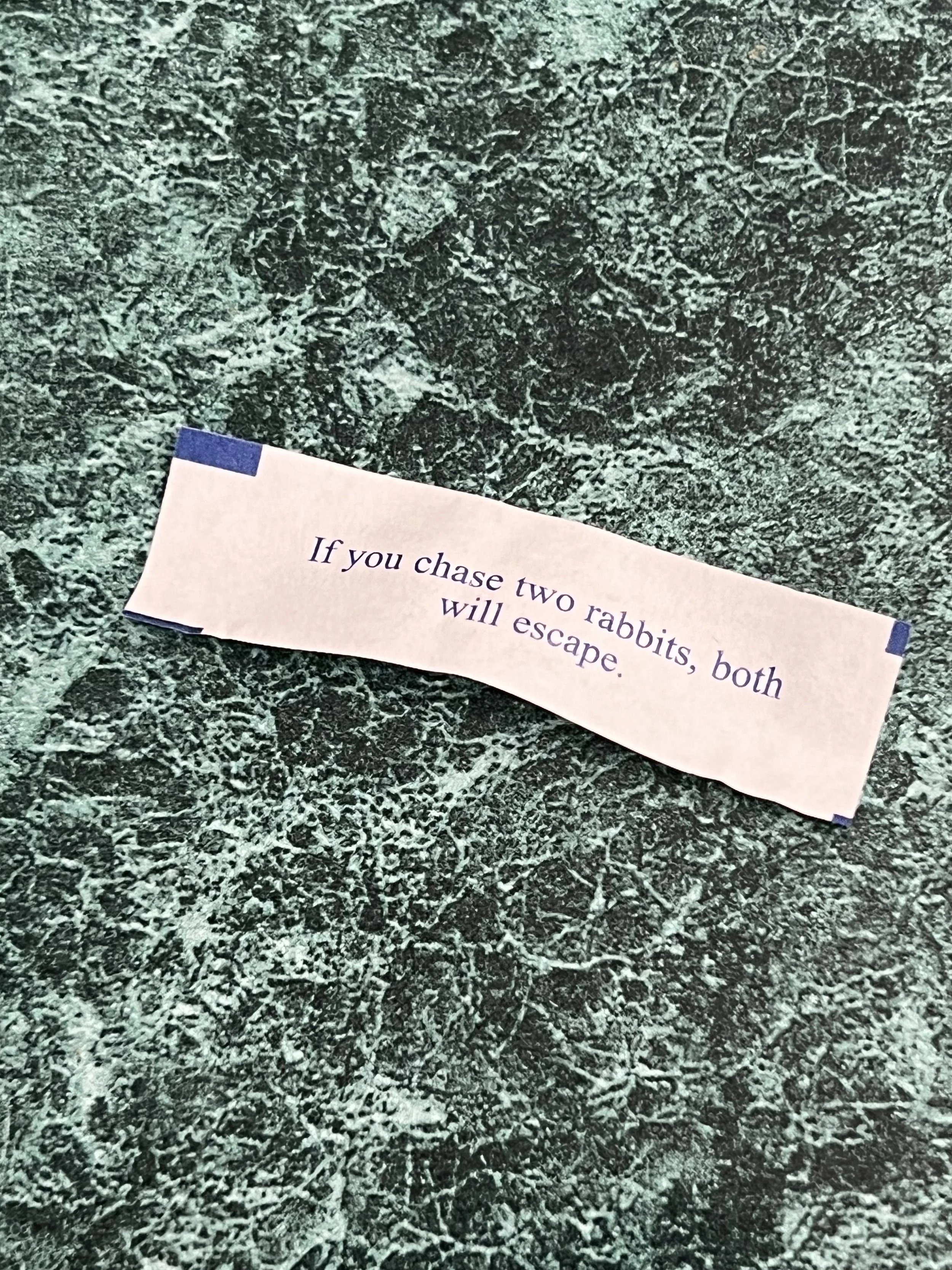 A piece of paper with a riddle about two rabbits on a textured green surface.