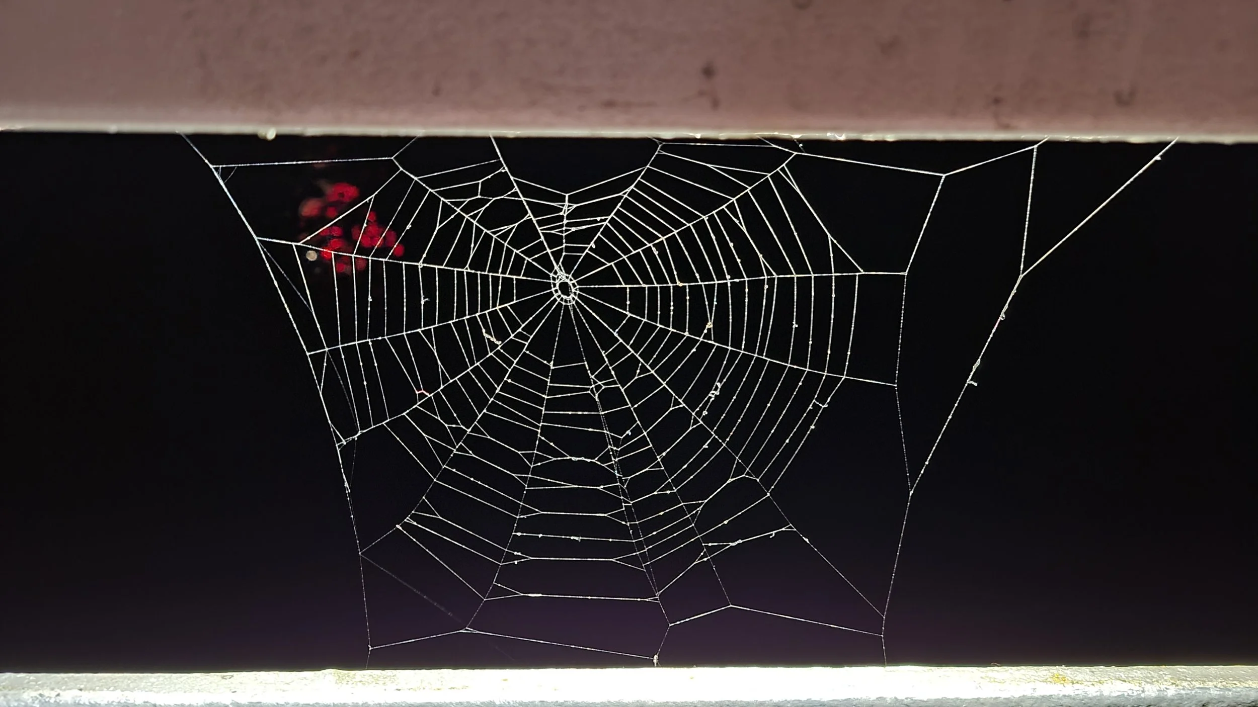 A spider web hanging between two horizontal surfaces against a dark background, with some red objects partially visible in the distance.