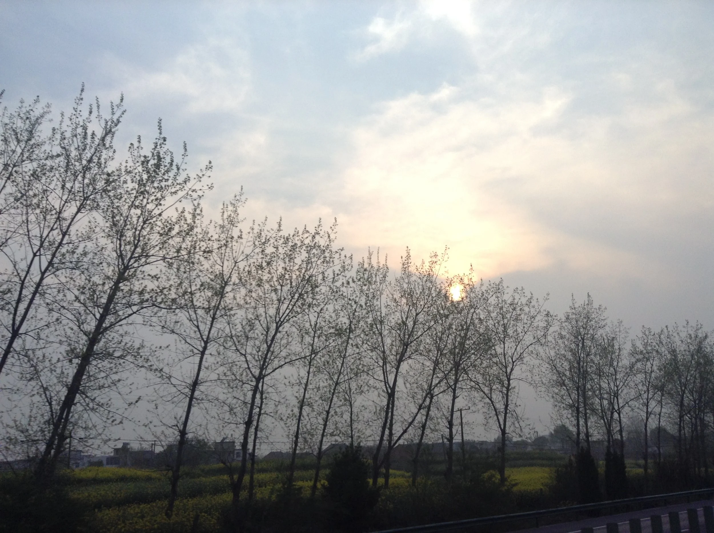 A landscape scene with a cloudy sky, the sun rising or setting near the horizon, and leafless trees in the foreground.