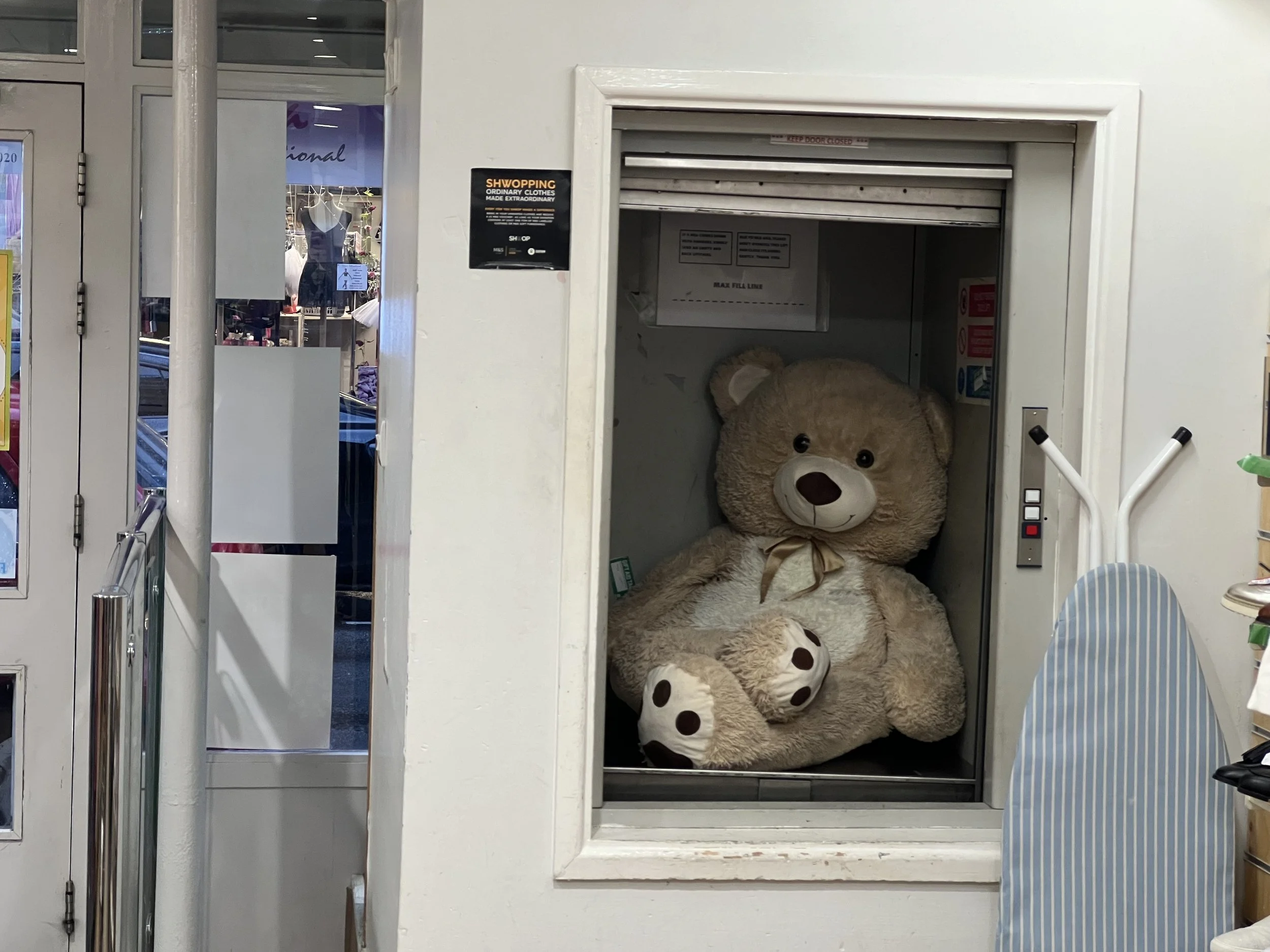 A large teddy bear is sitting inside a small elevator or lift in a retail store or shopping mall. The bear has a beige fur with dark brown paws and nose, wearing a small ribbon around its neck. The elevator is placed next to a glass door with signage
