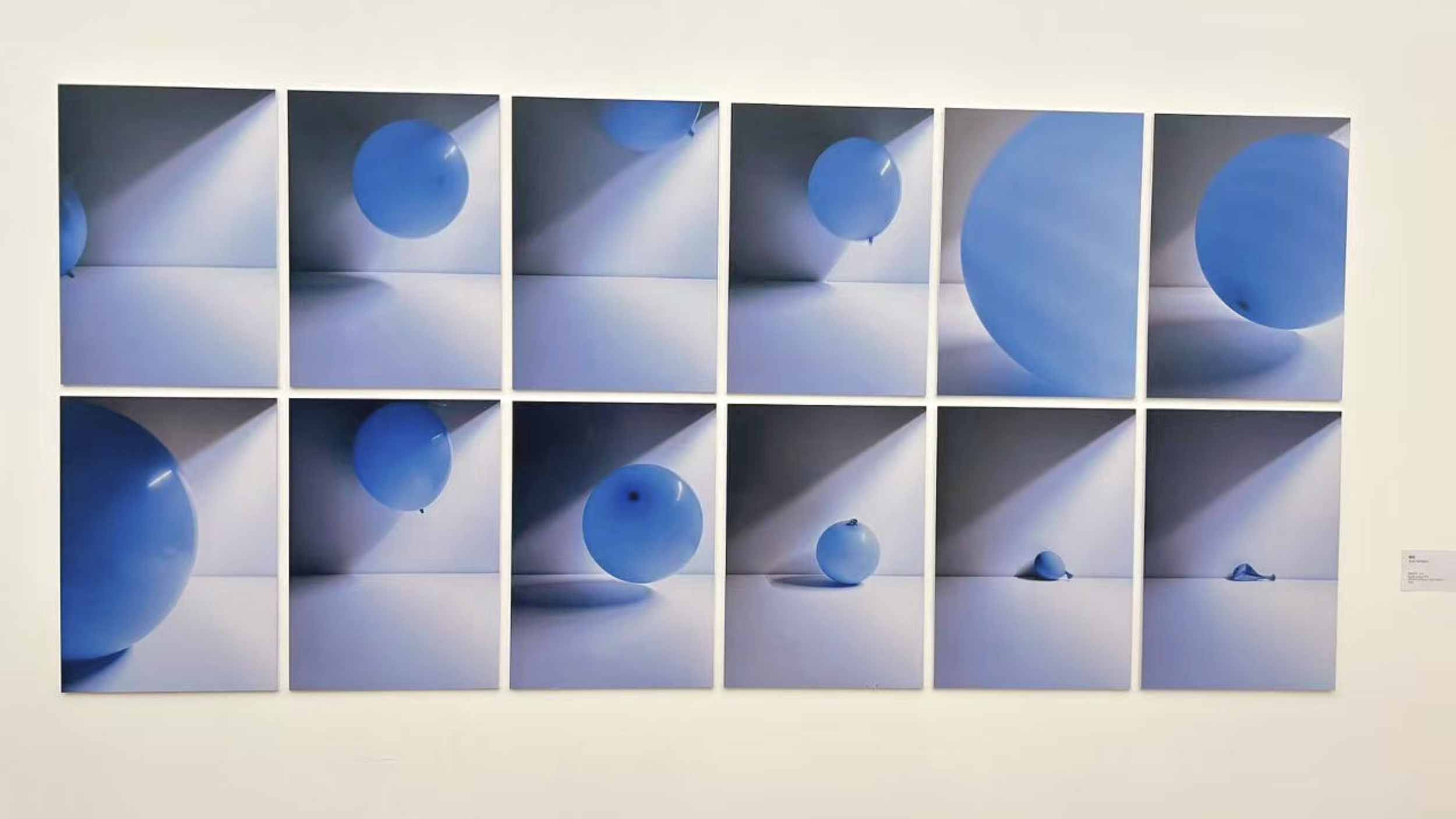 Multiple blue balloons are displayed in a grid of white cubicles, with some balloons partially outside the cubicles, creating a modern art installation.