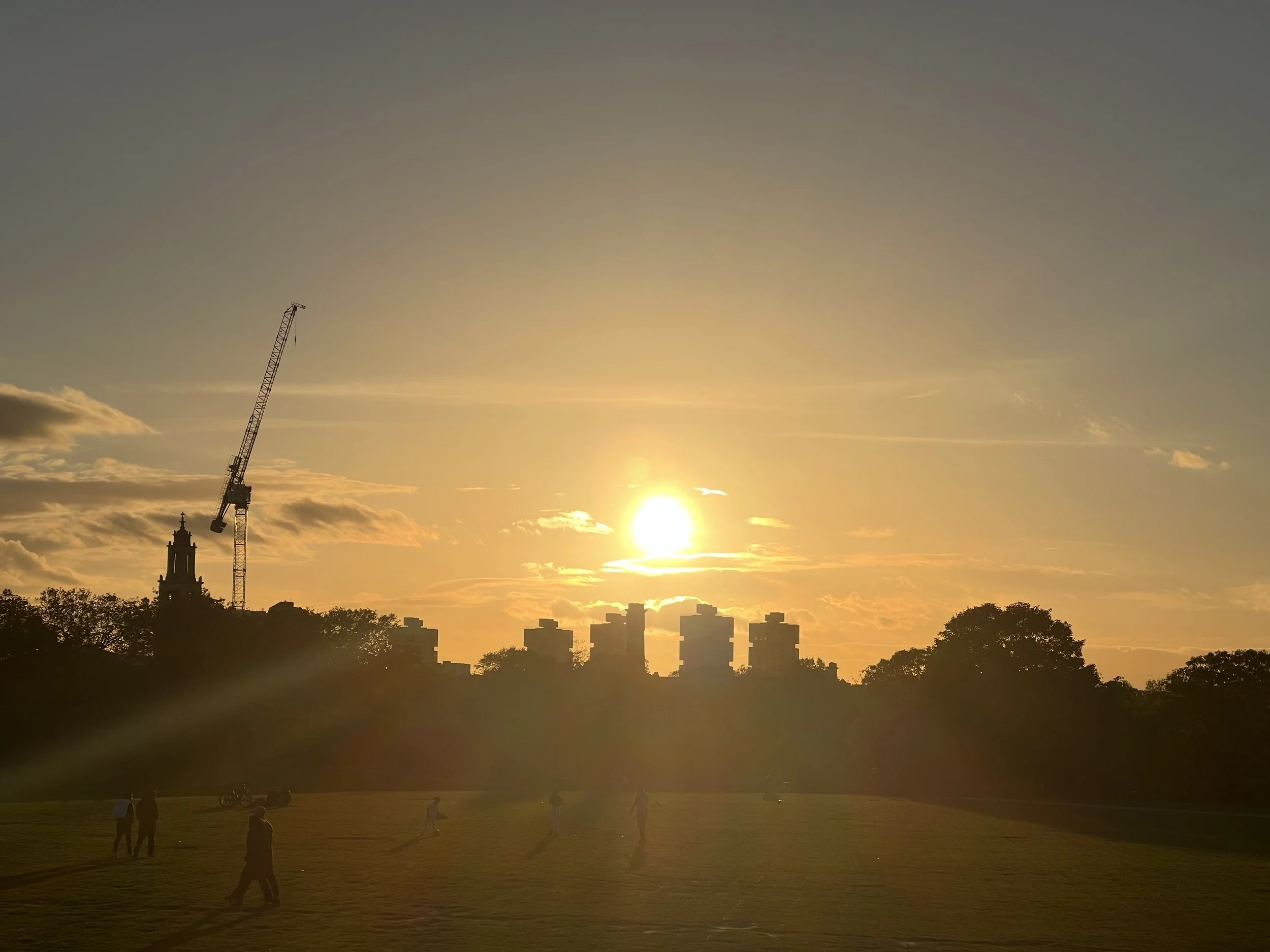 People in a park at sunset with a construction crane and city skyline in the background.