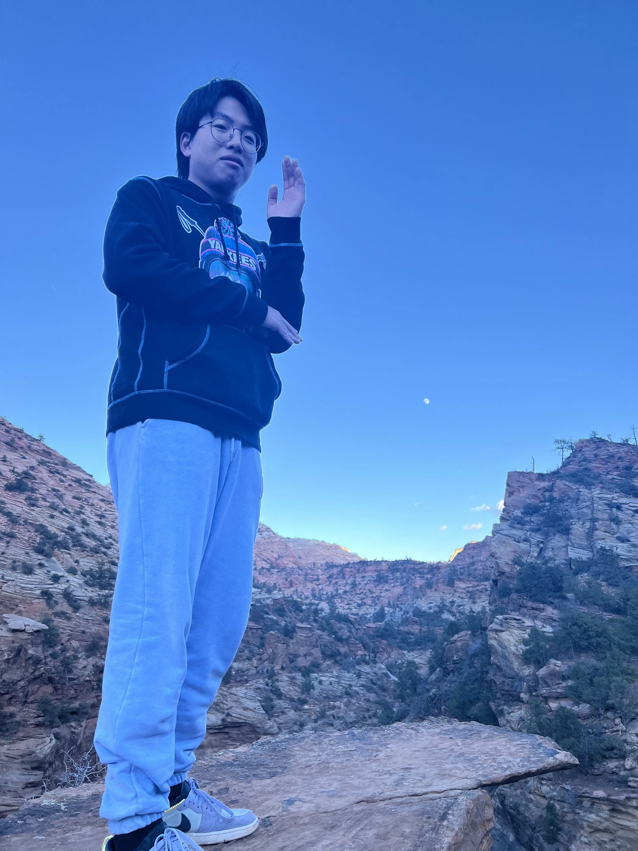 A young person wearing glasses, a black hoodie with colorful graphics, and light blue sweatpants stands on a rocky ledge in a canyon with steep cliffs and sparse vegetation. The person is looking at the camera and appears to be waving or reaching out
