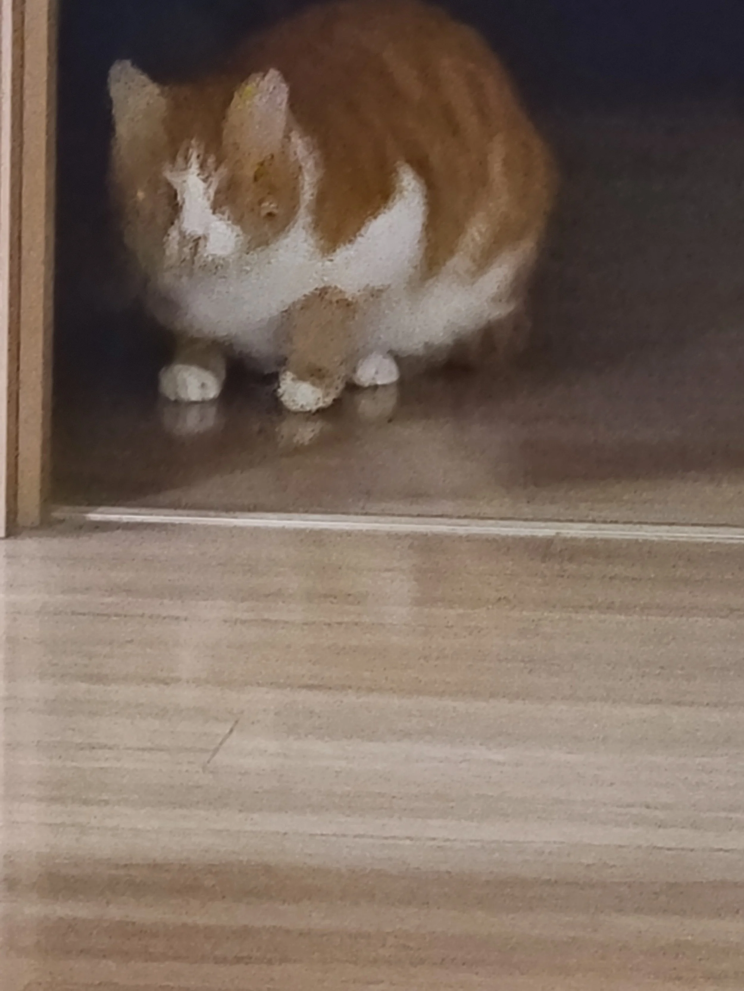A ginger and white cat curled up sleeping on a dark surface inside a wooden box or container