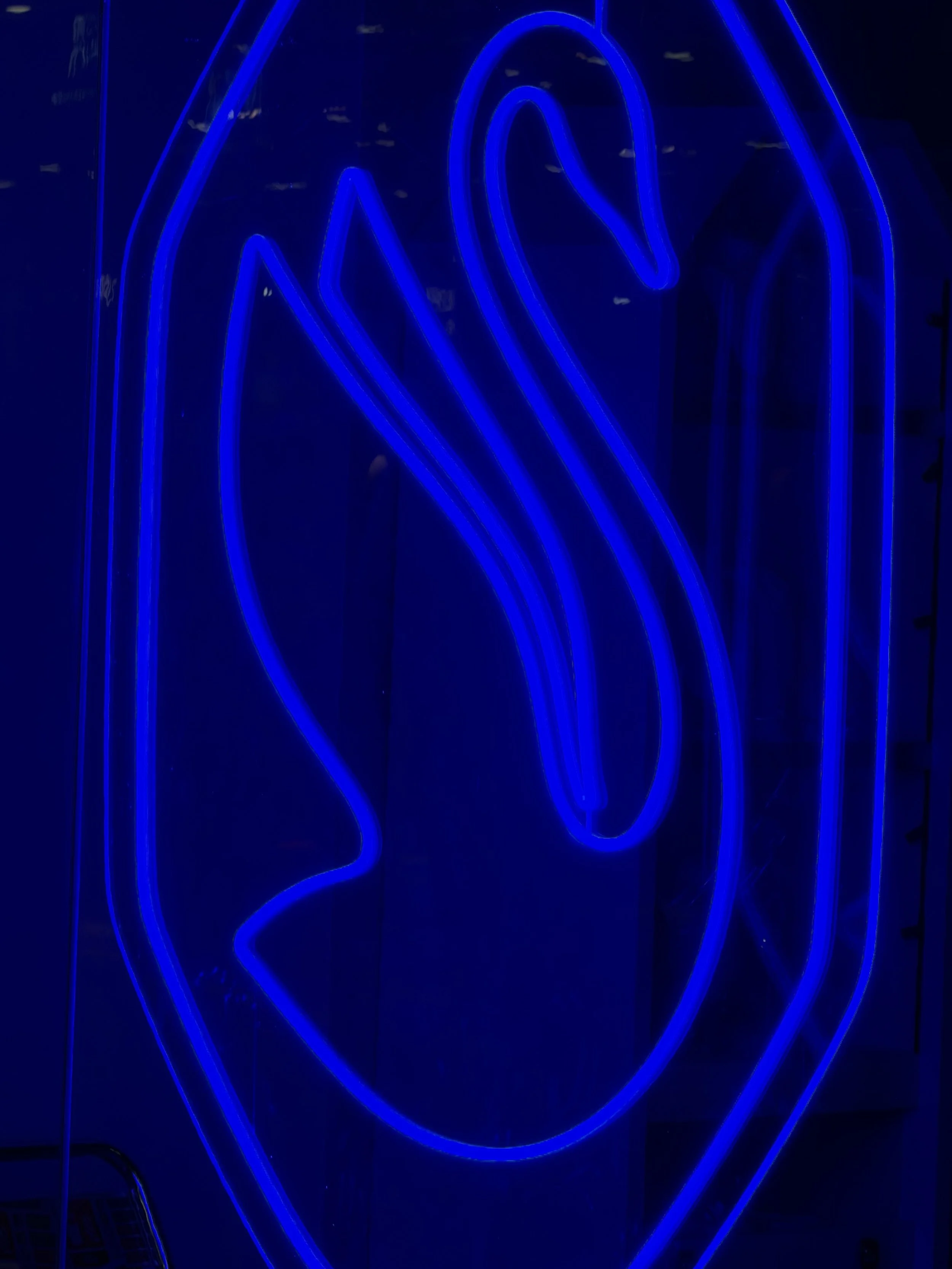 A blue neon sign of a Swan logo.