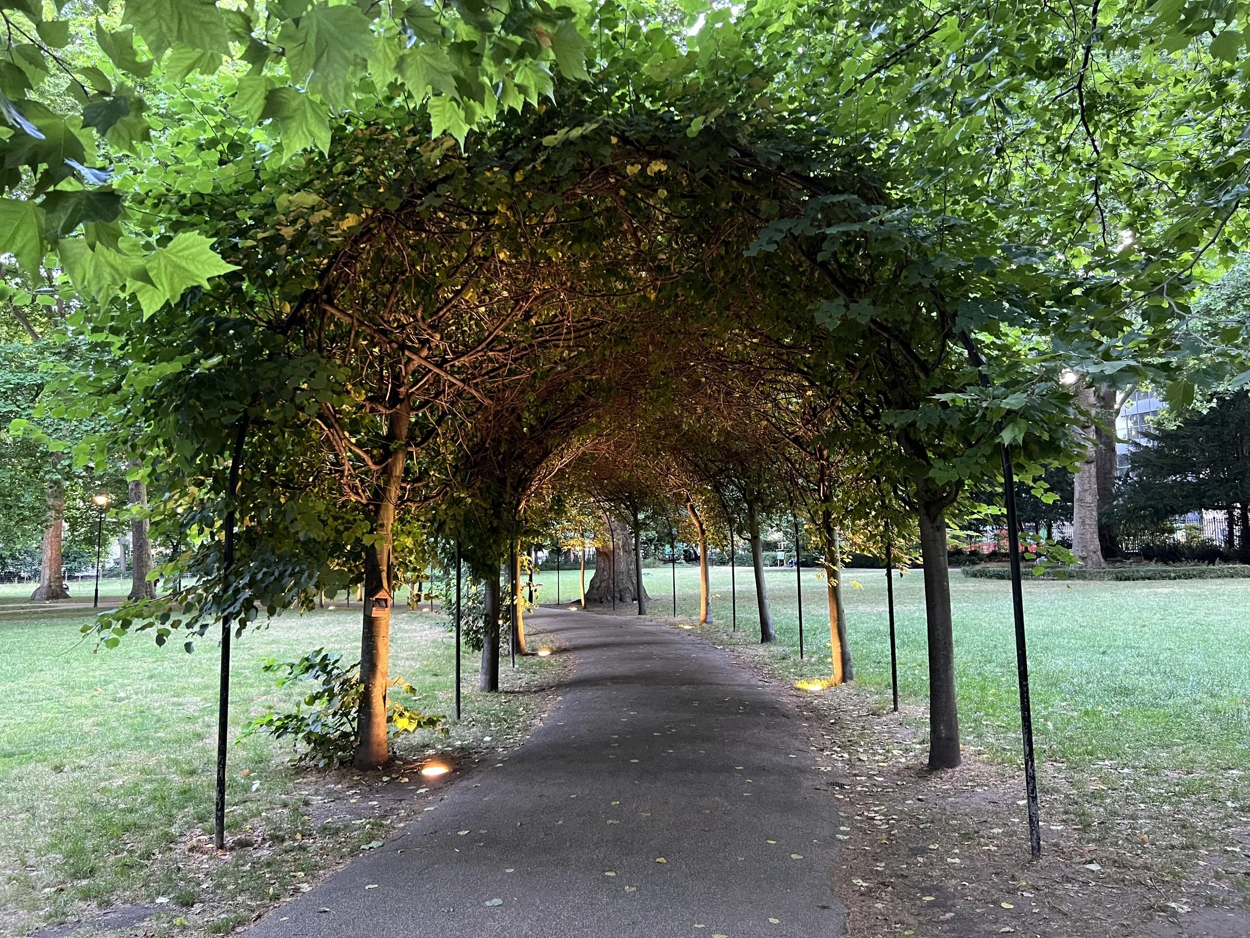 Walking path in a park shaded by trees with green leaves, illuminated by small lights on the ground, and a fenced area visible in the background.