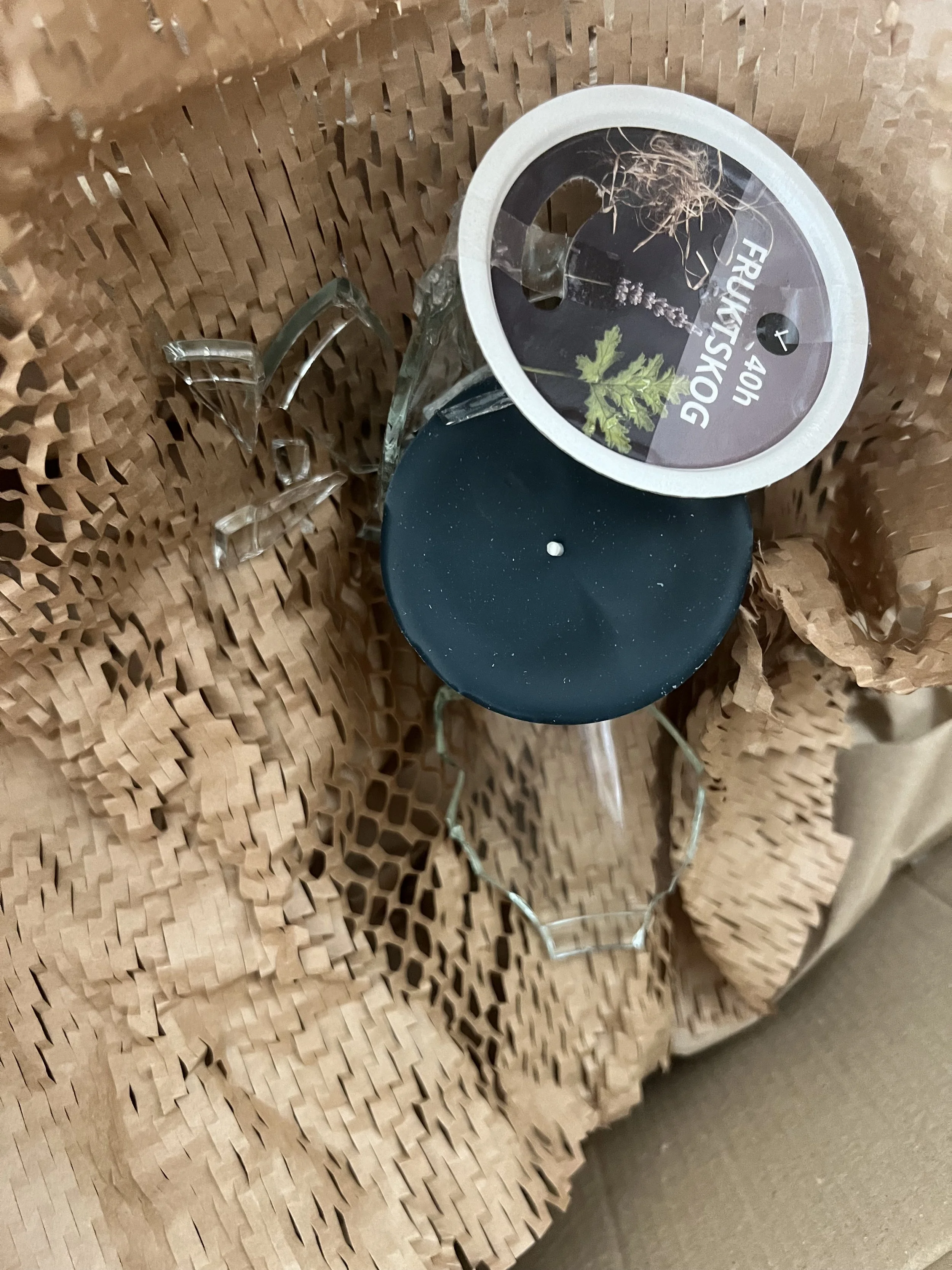 A cardboard box with a black plastic lid containing plant roots and a green leaf, next to a black chair with metal legs, surrounded by crumpled kraft paper.