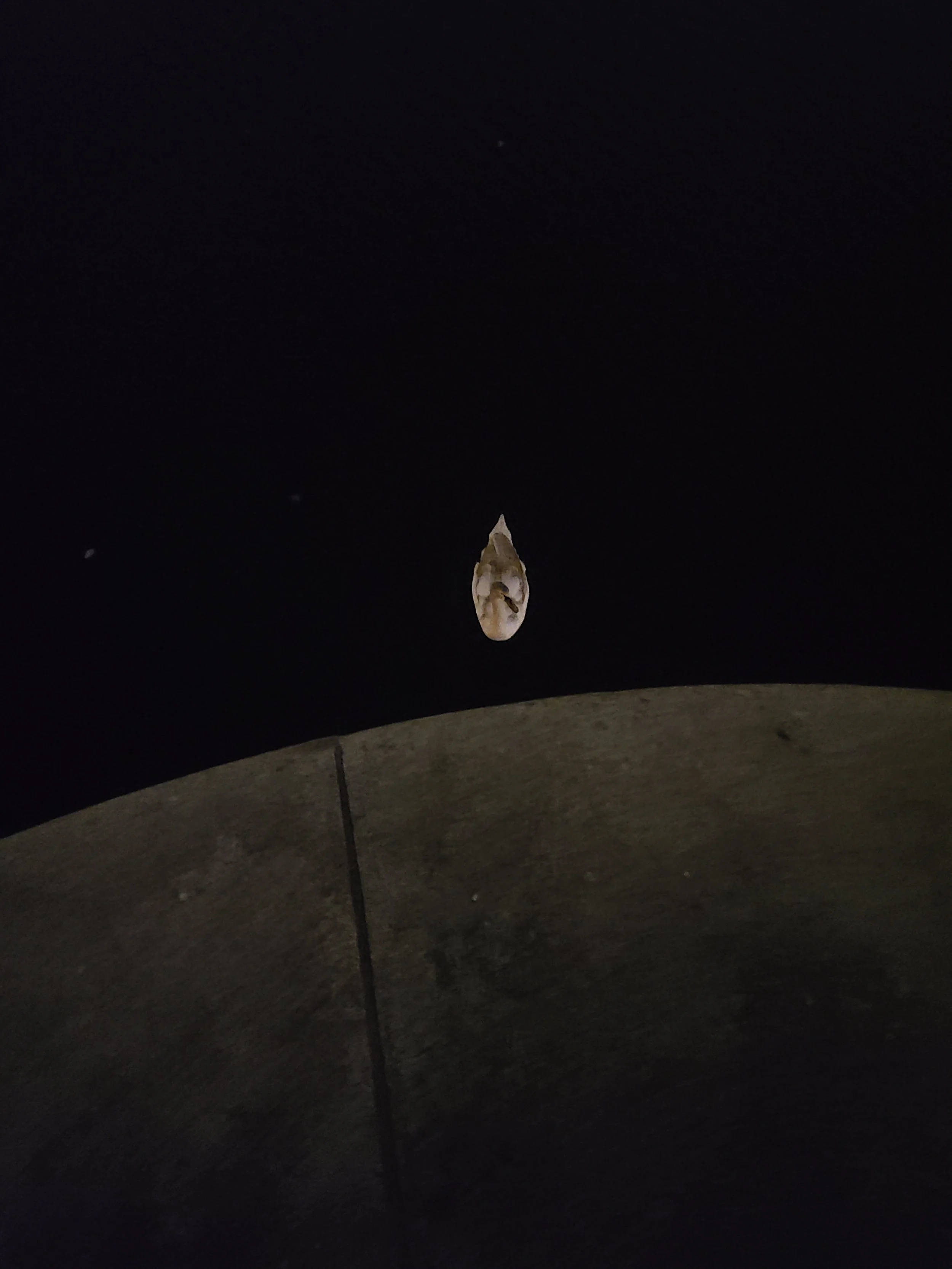 A dark night scene with a football-shaped object hanging in the air, illuminated by a light source, with a concrete surface in the foreground.