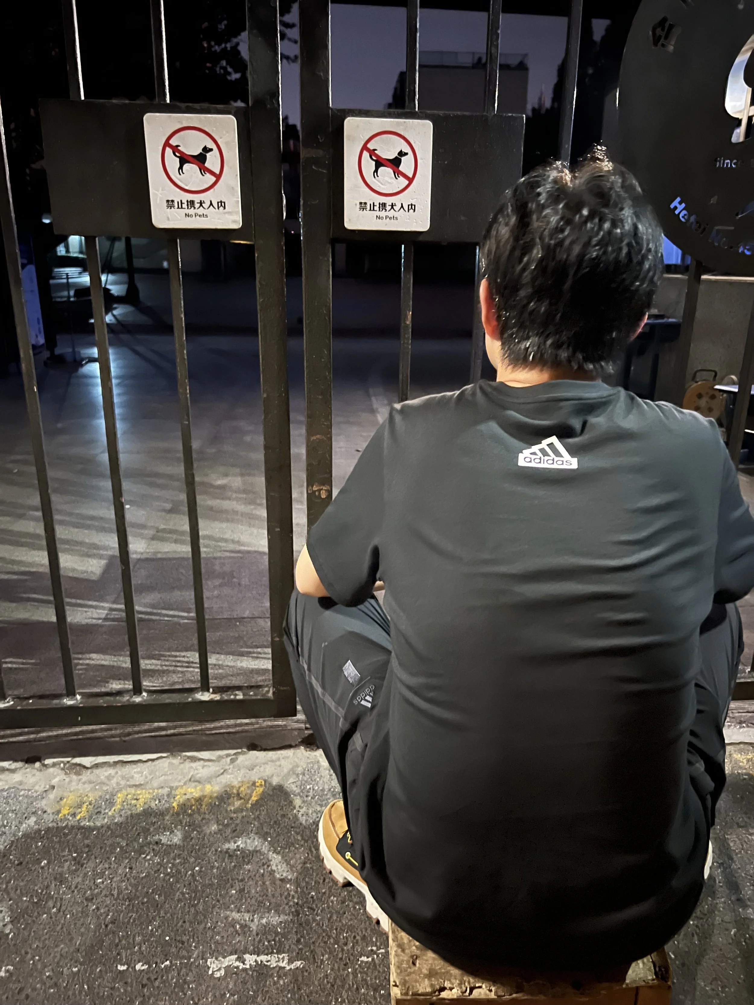 A man with dark, curly hair sitting outdoors at night, wearing a dark Adidas shirt and beige shoes. He is facing away from the camera, sitting in front of a metal gate with two signs that say "No Pets." The background shows a dark street and building