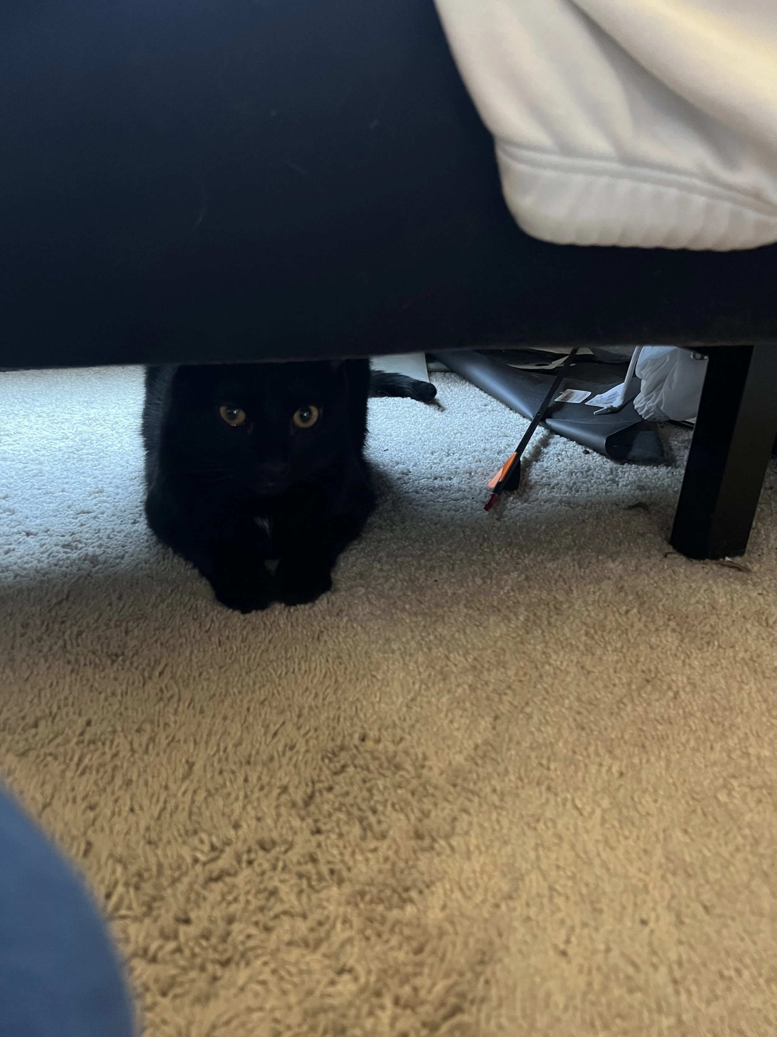 A black cat lying on a beige carpet, partially hidden under a dark piece of furniture with yellow eyes staring out.