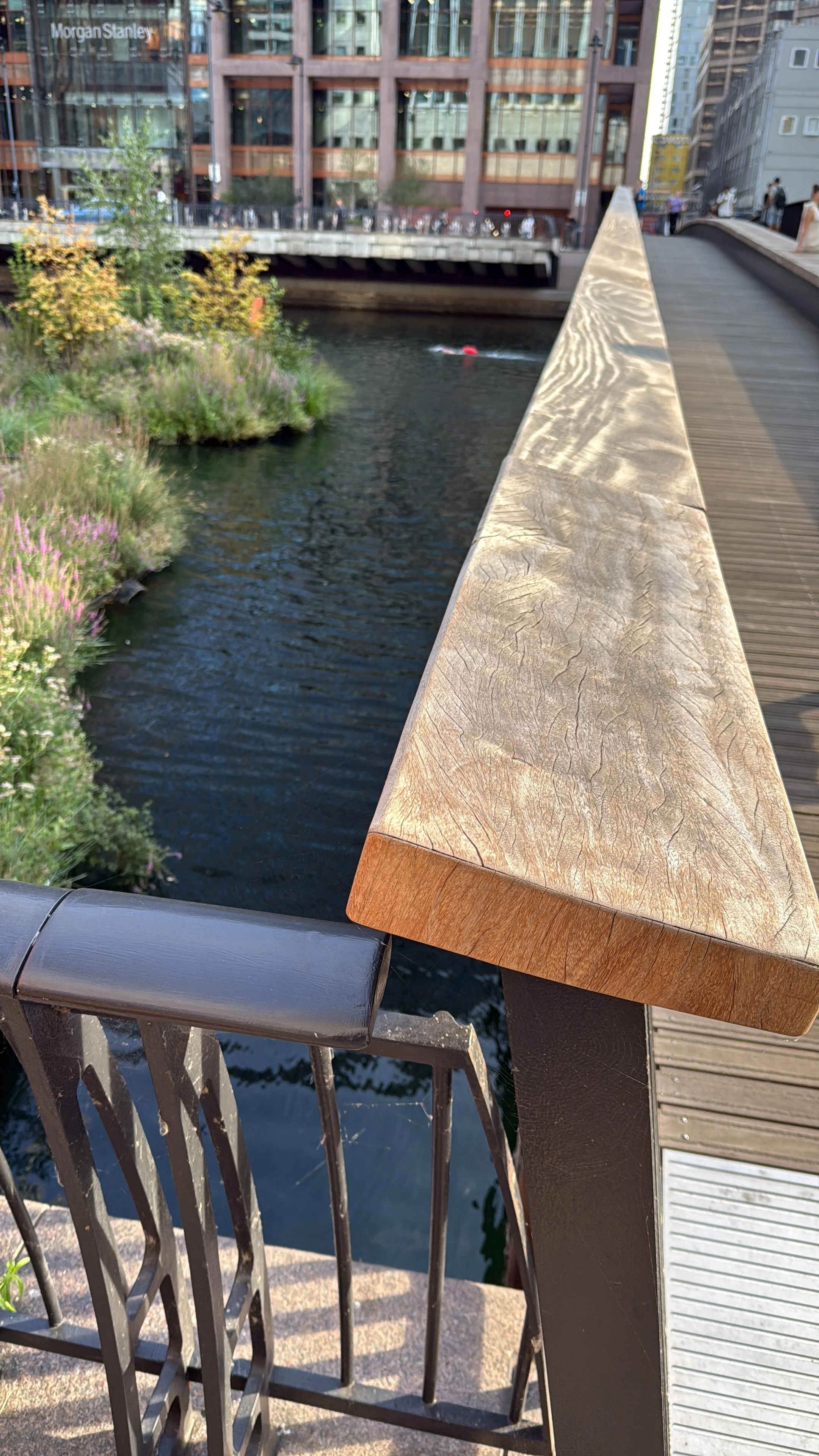 A river with plants growing along the bank and a wooden railing in the foreground, with a cityscape in the background including a building with the Morgan Stanley logo.