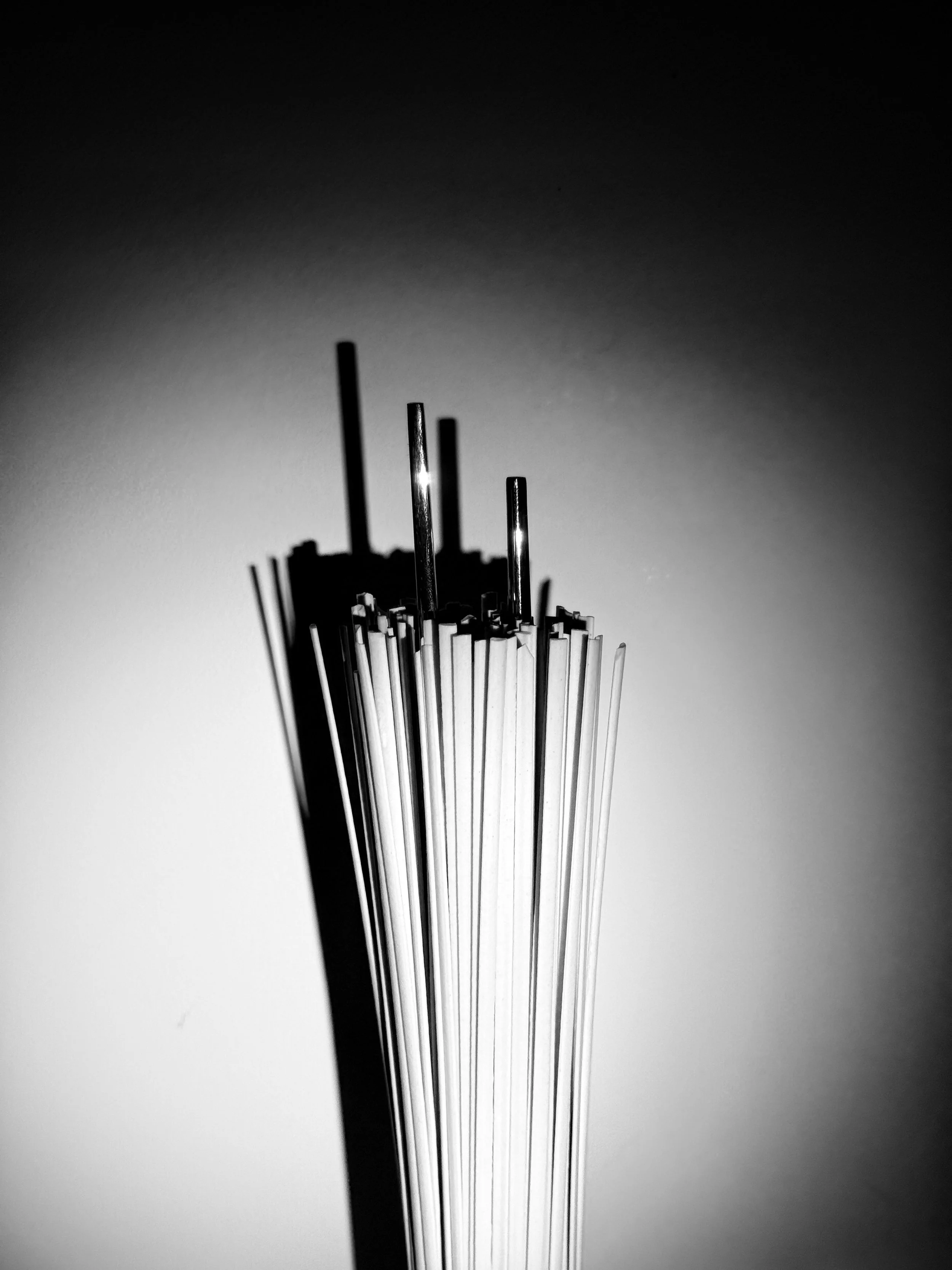 Close-up black-and-white photograph of the end of a bundle of thin, cylindrical objects resembling pencils or sticks, with a dark background and shadows on one side.