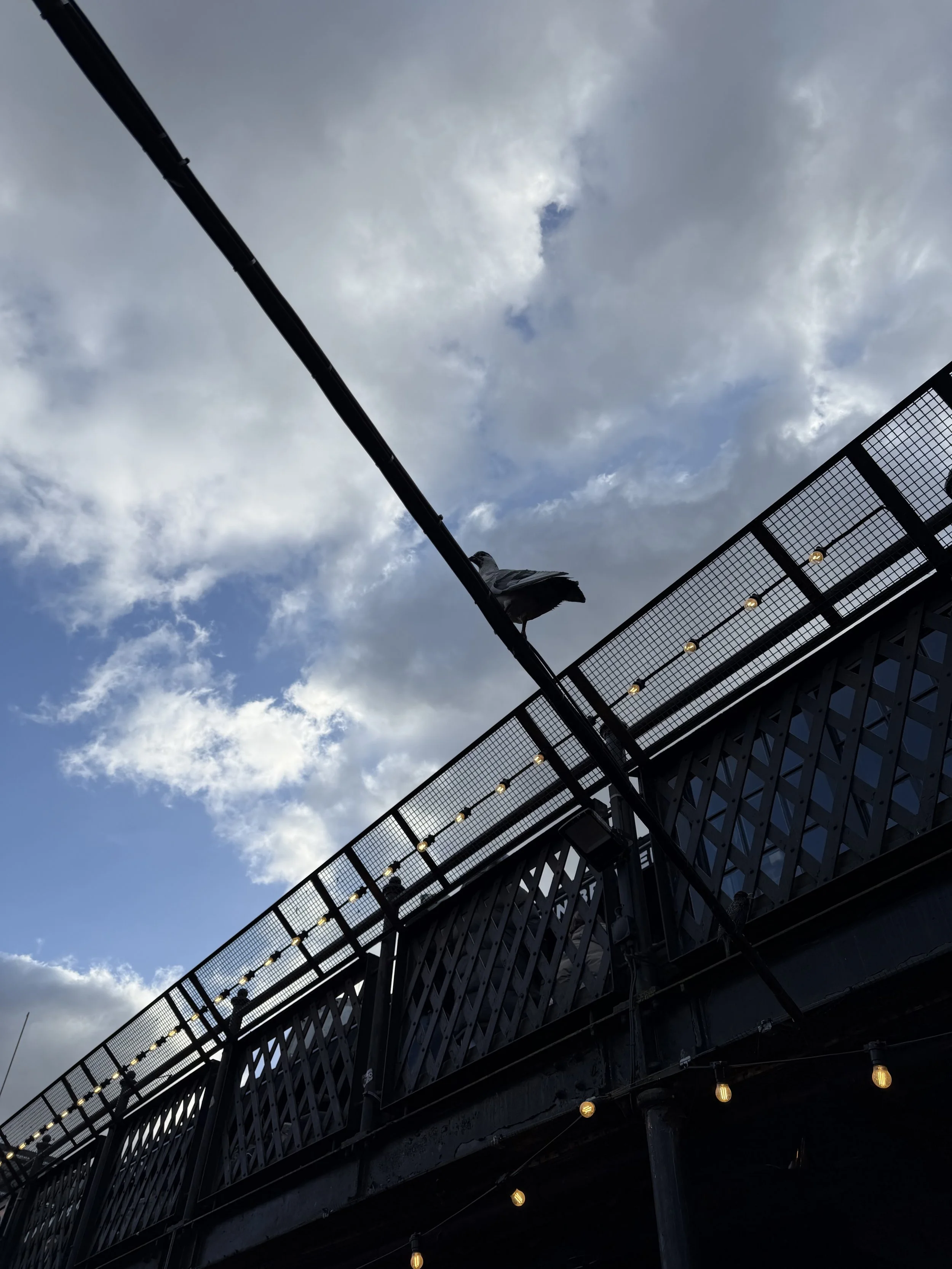 View of a building's outdoor balcony or terrace with a metal railing, string lights, and a pigeon perched on a wire against a cloudy sky.