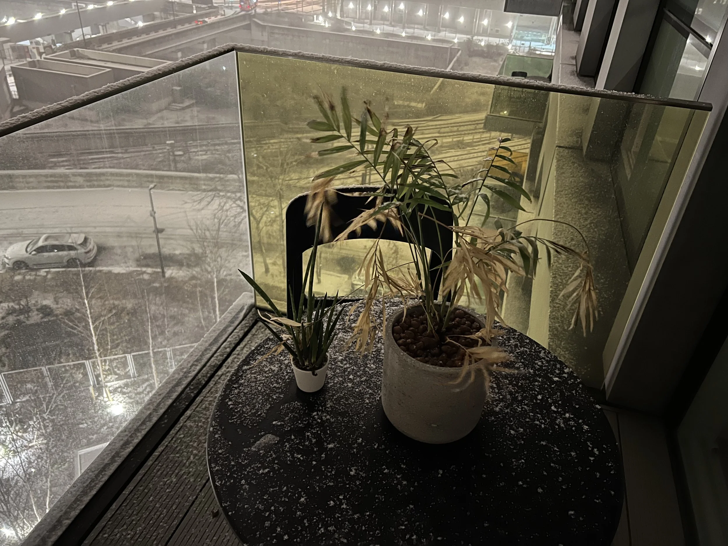 Indoor balcony with potted plants on a ledge, overlooking a snowy urban scene with cars and parking lot.