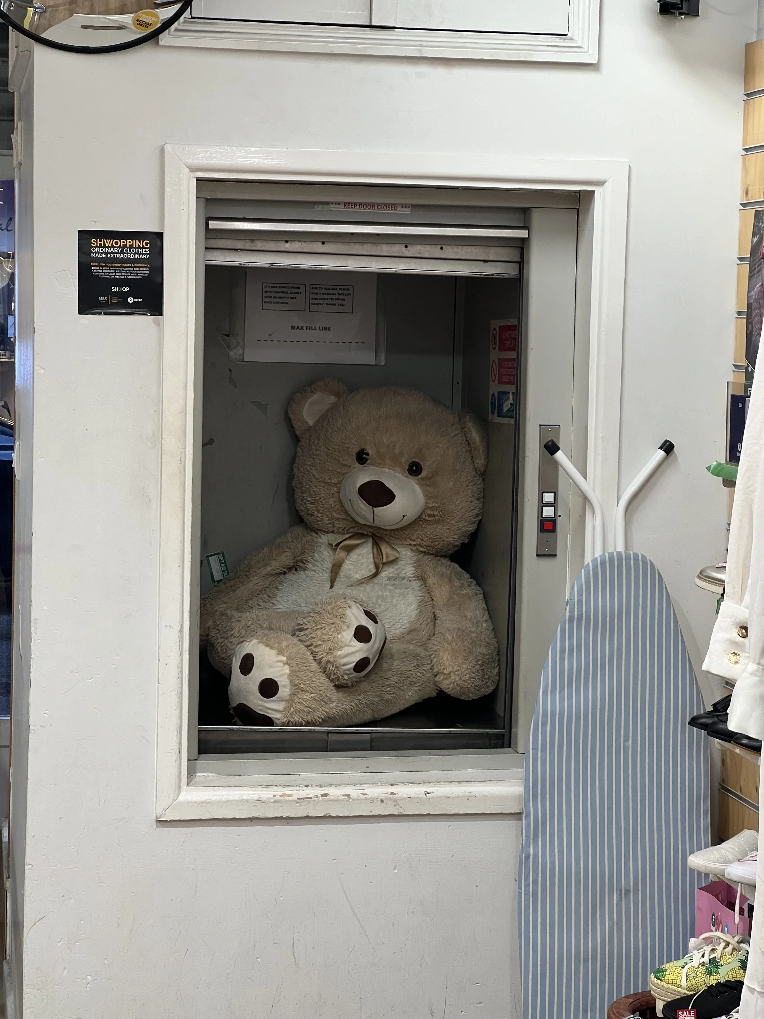 A large teddy bear sitting inside an elevator, with a white sign above it and various stickers inside.