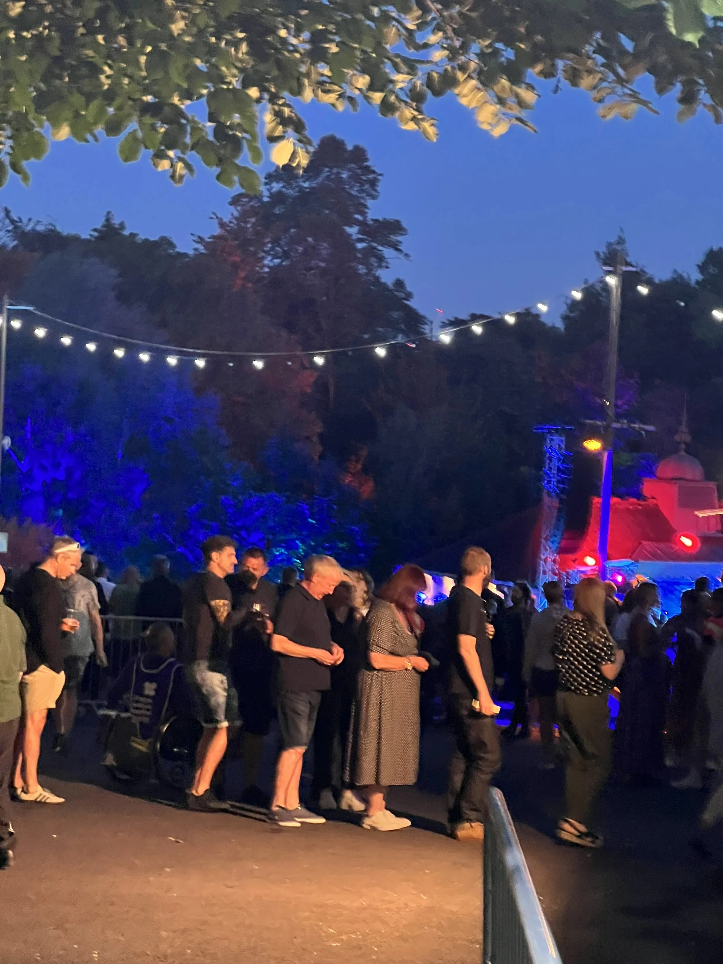 People standing in a line outdoors at night, with string lights above them and trees in the background.