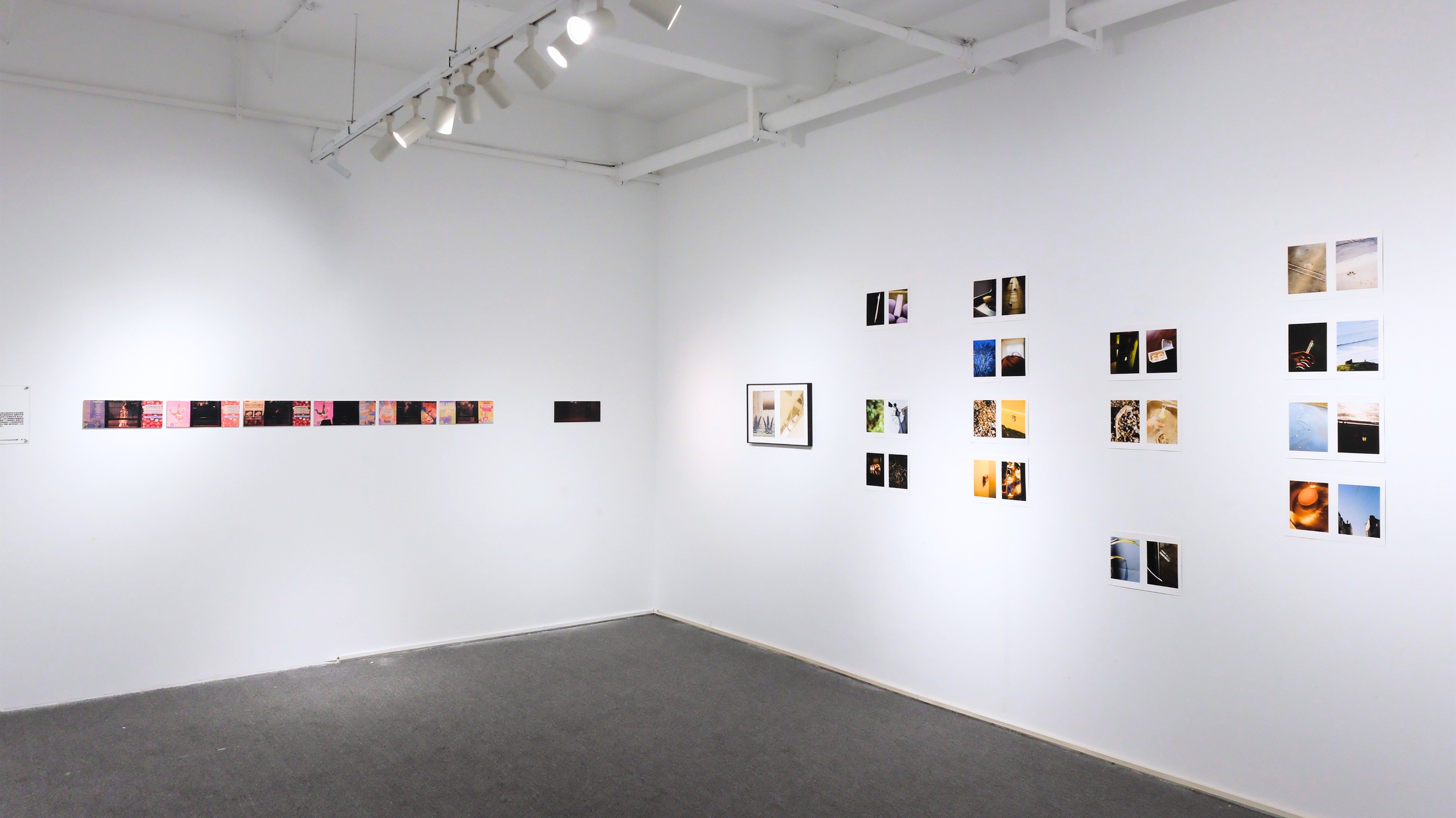 Art gallery with photographs on white walls and track lighting