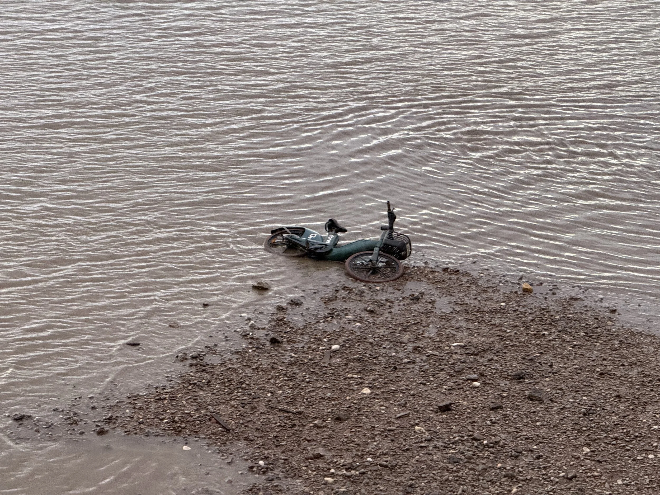 A bicycle partially submerged in water near the shoreline of a muddy or sandy beach.