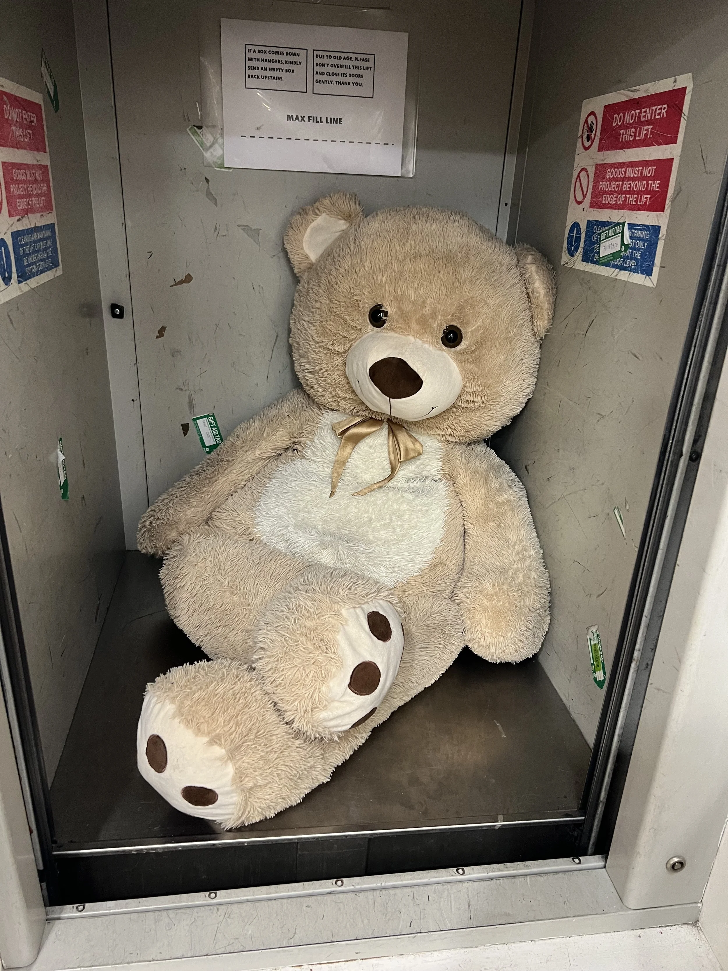 A large beige teddy bear with a white snout and brown paw pads is inside an elevator, leaning against the back wall.