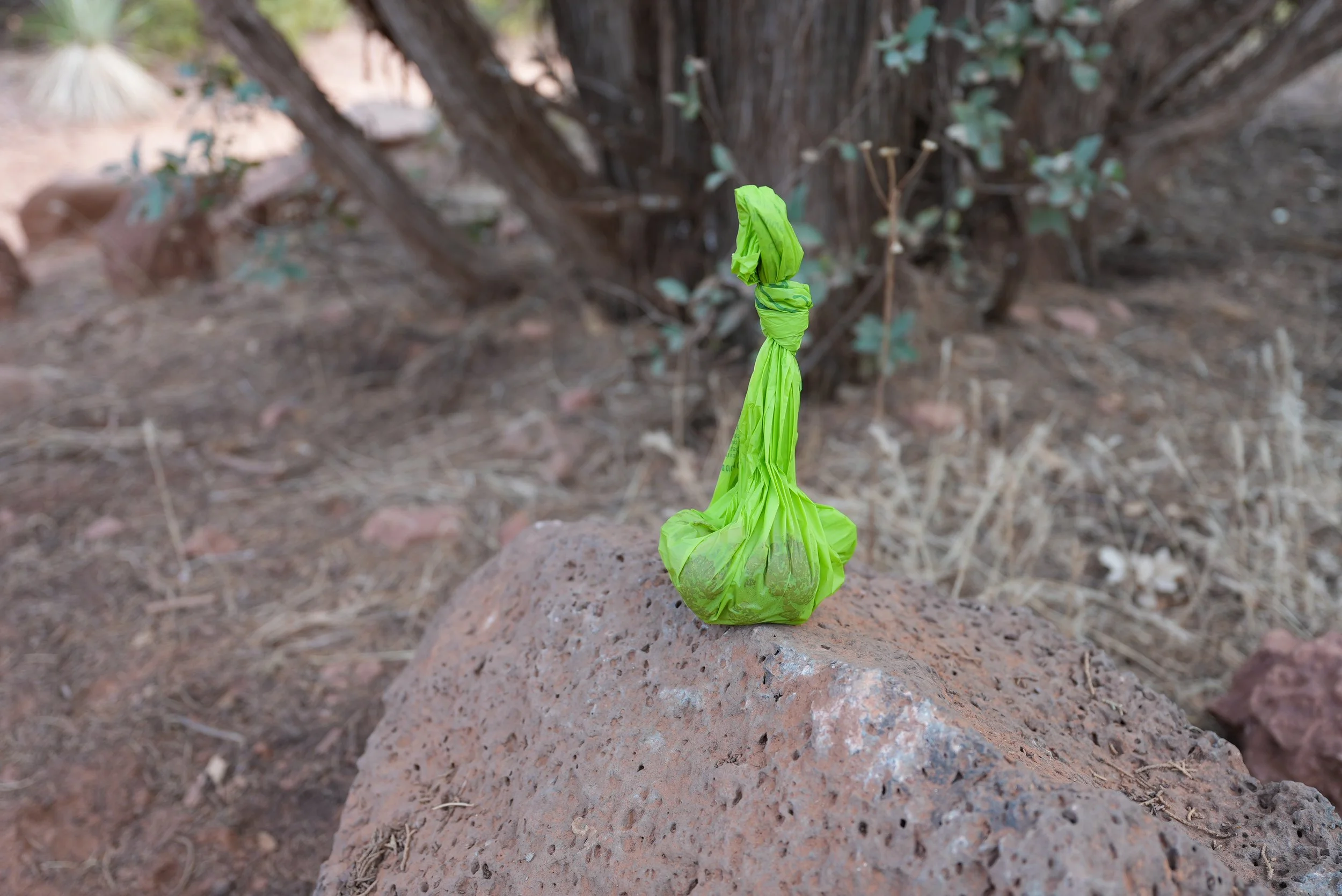A green plastic bag tied around a rock, set against a natural outdoor background of dirt, rocks, and a tree.