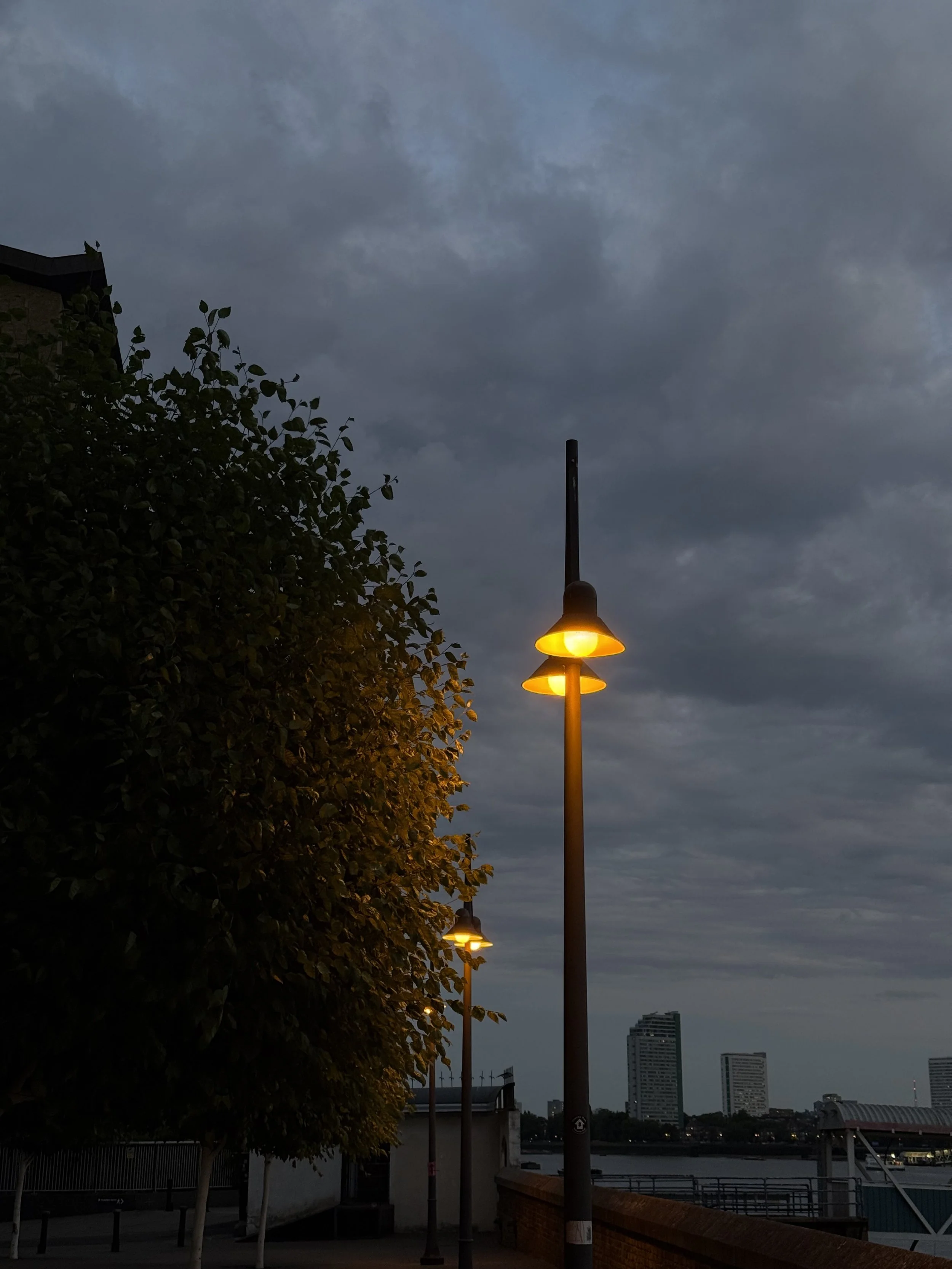 Streetlights with yellow illumination along a waterfront promenade at dusk. A large leafy tree on the left, and city buildings in the distance under a cloudy sky.