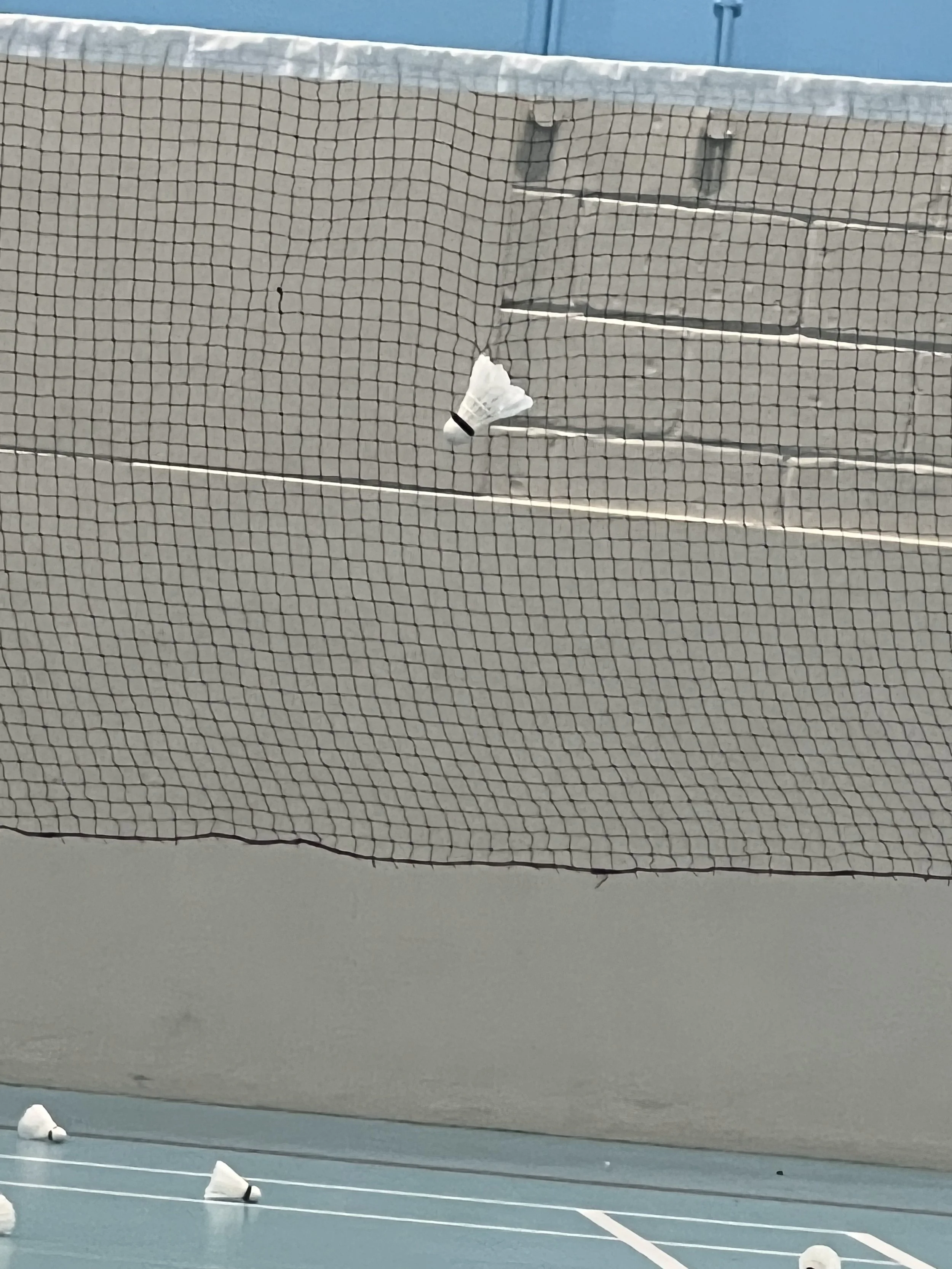 Indoor badminton court with a mesh net and shuttlecocks on the floor.