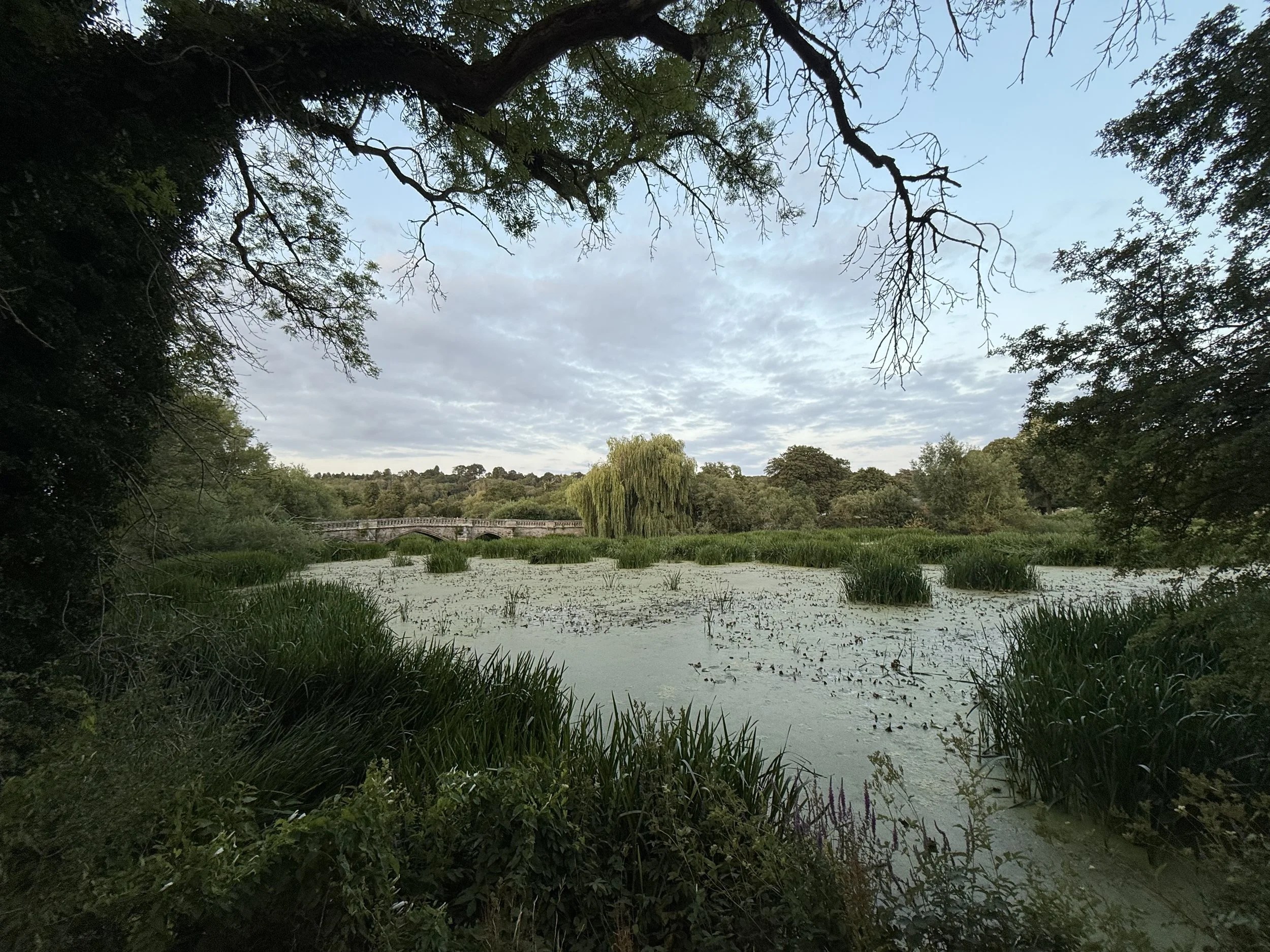 A serene pond surrounded by lush green trees and grass, with a arched stone bridge in the background and a partly cloudy sky overhead.