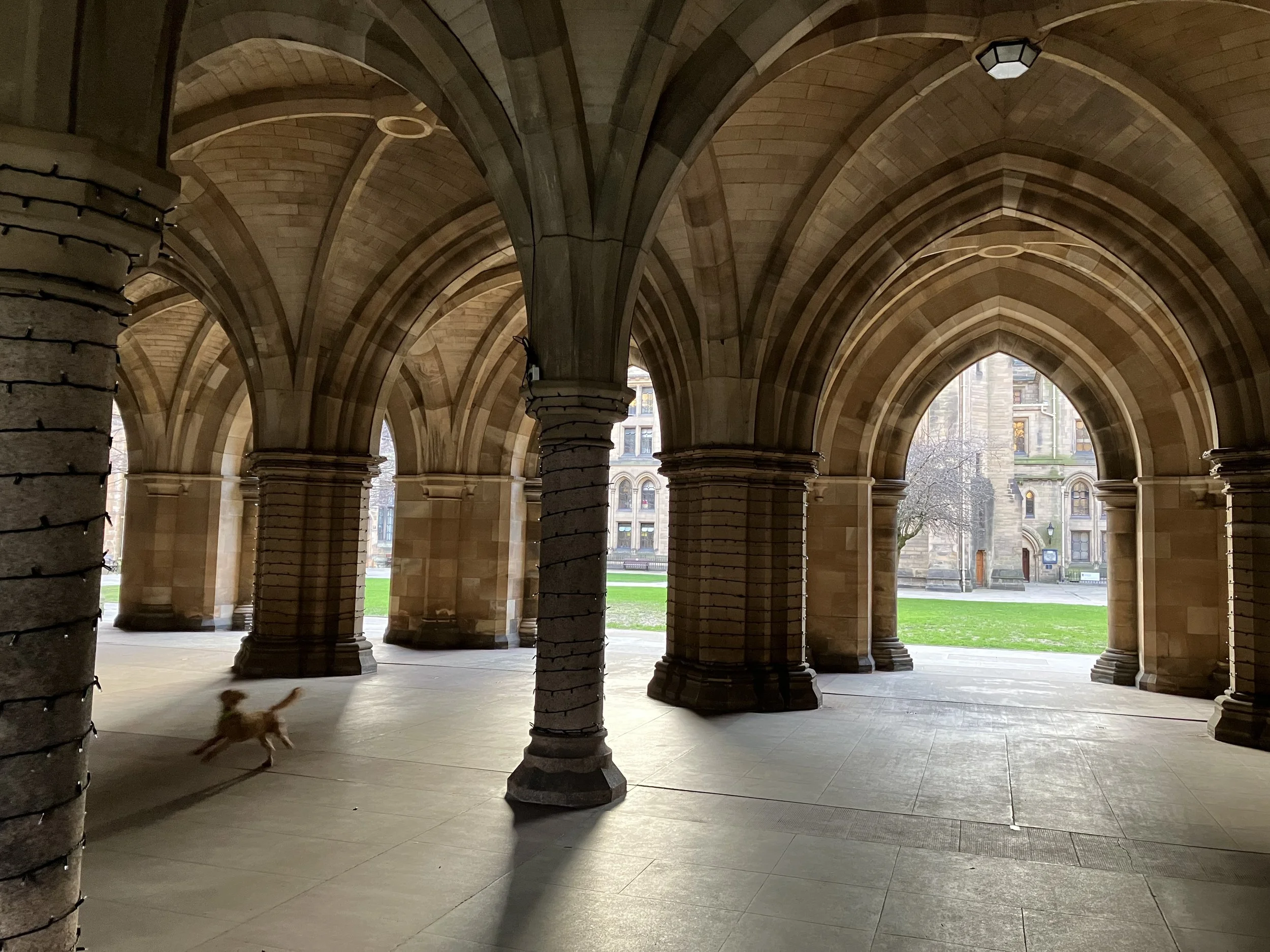 The image shows the interior of a building with stone arches and columns. A small dog walks across the tiled floor, and outside the arches, a grassy area and historic buildings are visible.