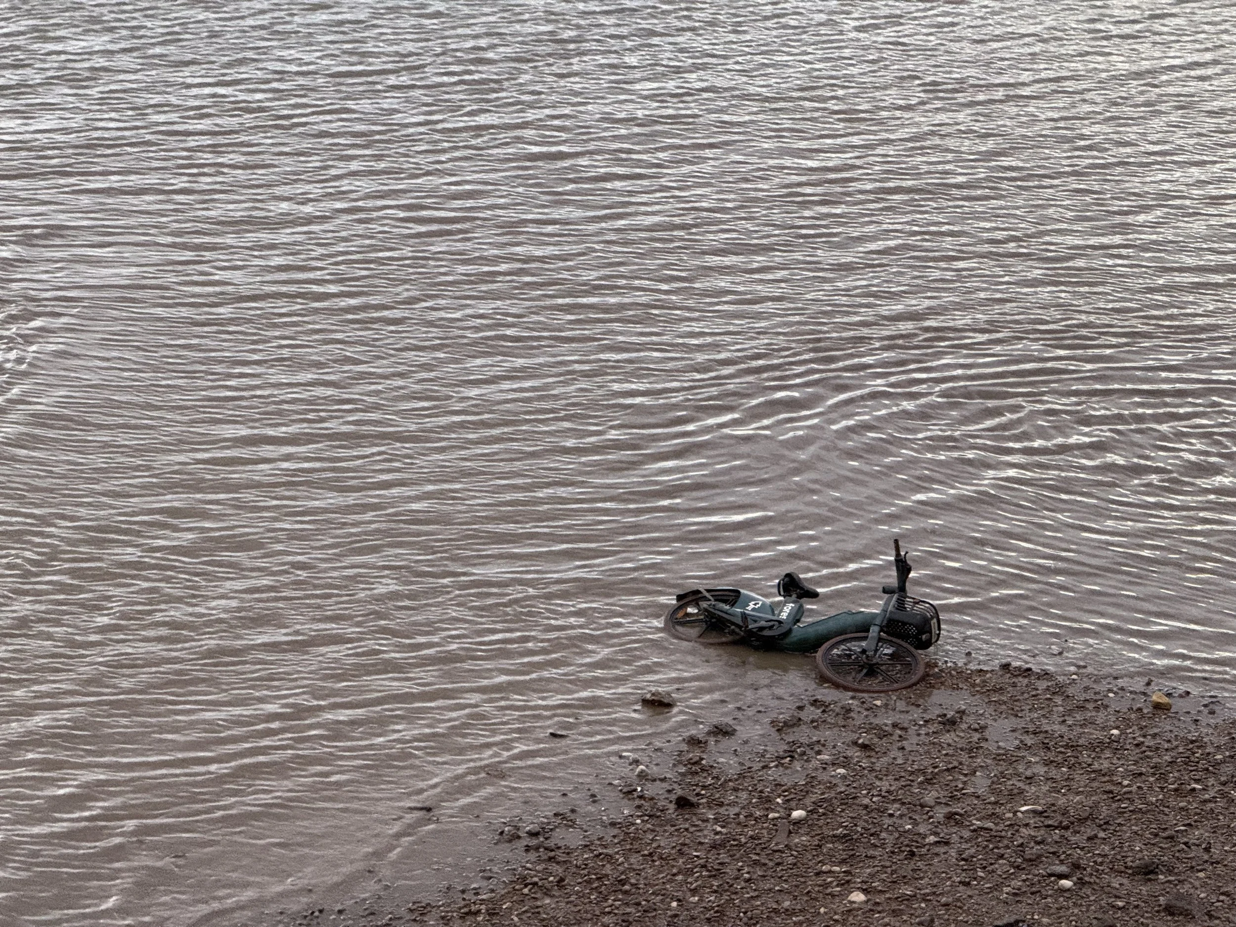 A bicycle partially submerged in water along a muddy shoreline, with small rocks nearby and calm water in the background.